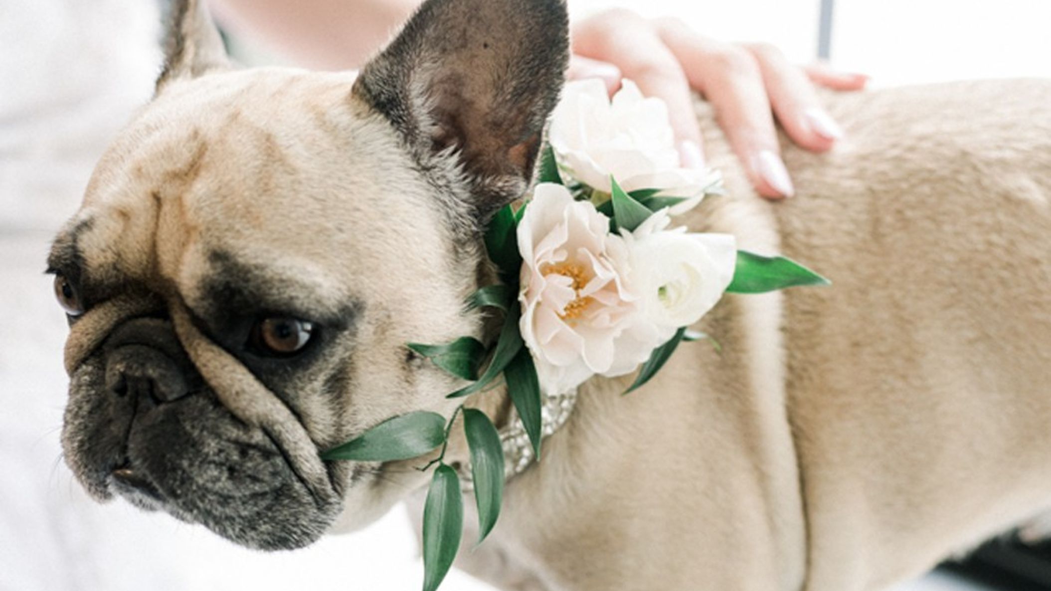 Wisconsin_Bride/joshrealwed/2022-02-24_1573.jpg