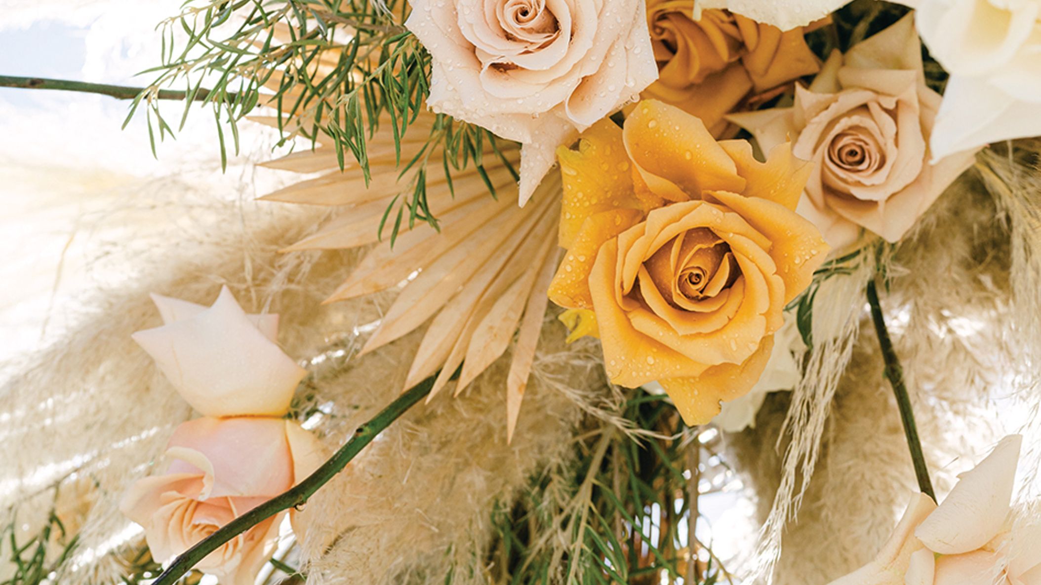 CWD/2022/Magazine/RealWeddings/morgan_will/real weddings_CWD_FW22_40.jpg