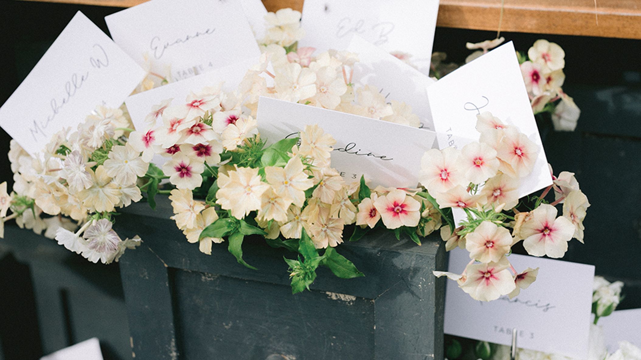 Seattle_Bride/2022/designdetails/afile_seb_fw2206.jpg