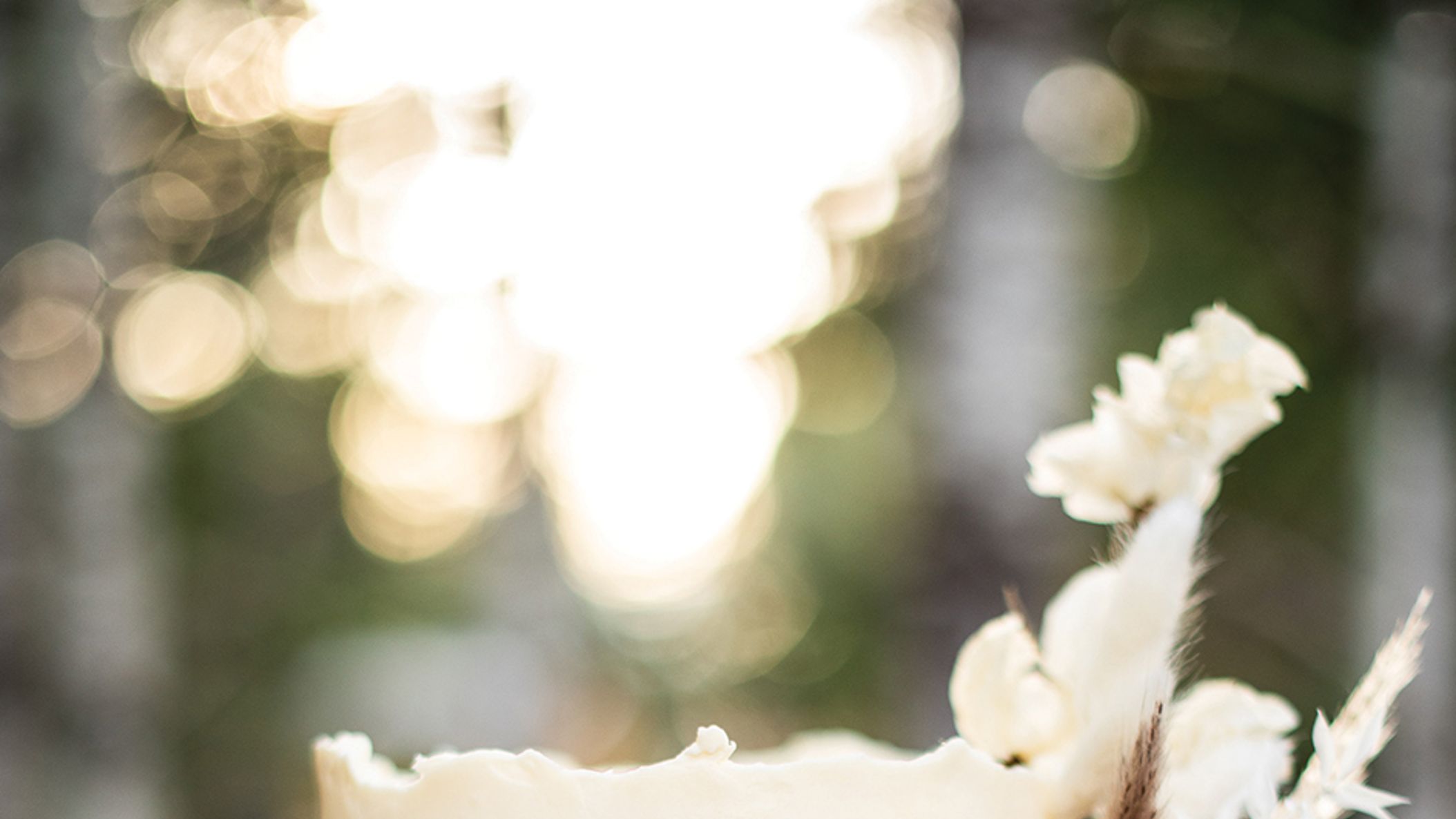 Seattle_Bride/2022/unveiled/unveiled_seb_fw2203.jpg