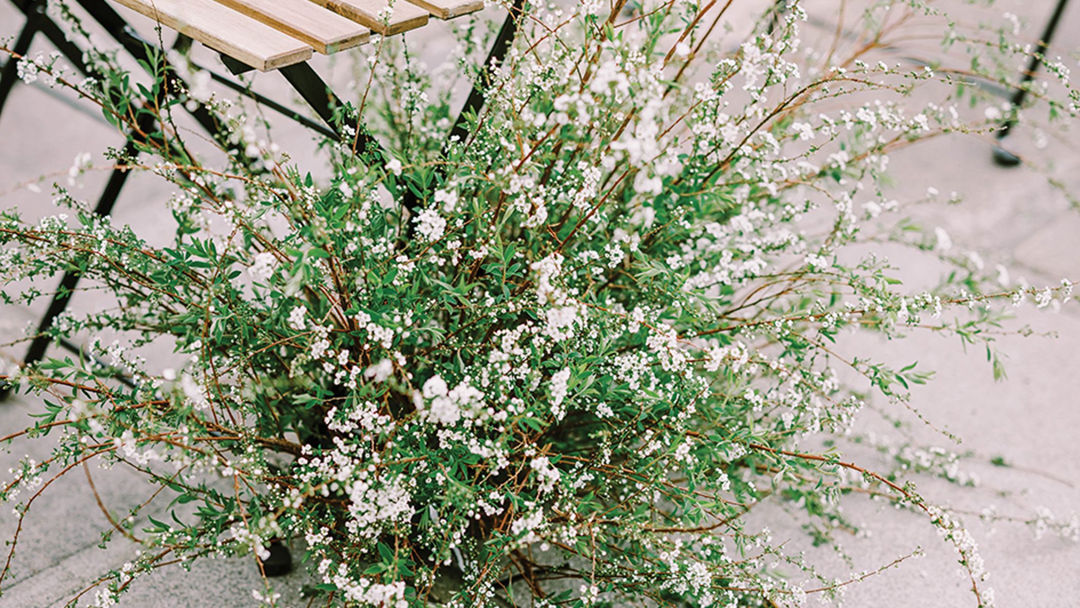 Seattle_Bride/2022/decorfeat/decor_seb_fw2203.jpg