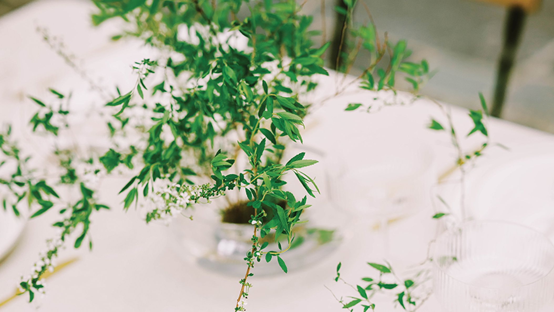 Seattle_Bride/2022/decorfeat/decor_seb_fw2208.jpg