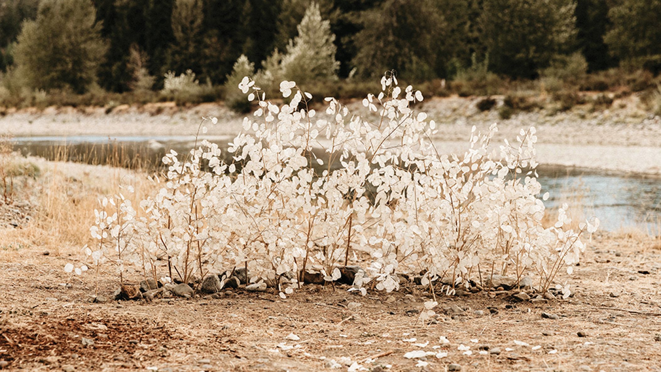 Seattle_Bride/2022/aimee-chase/realwed_seb_fw22036.jpg