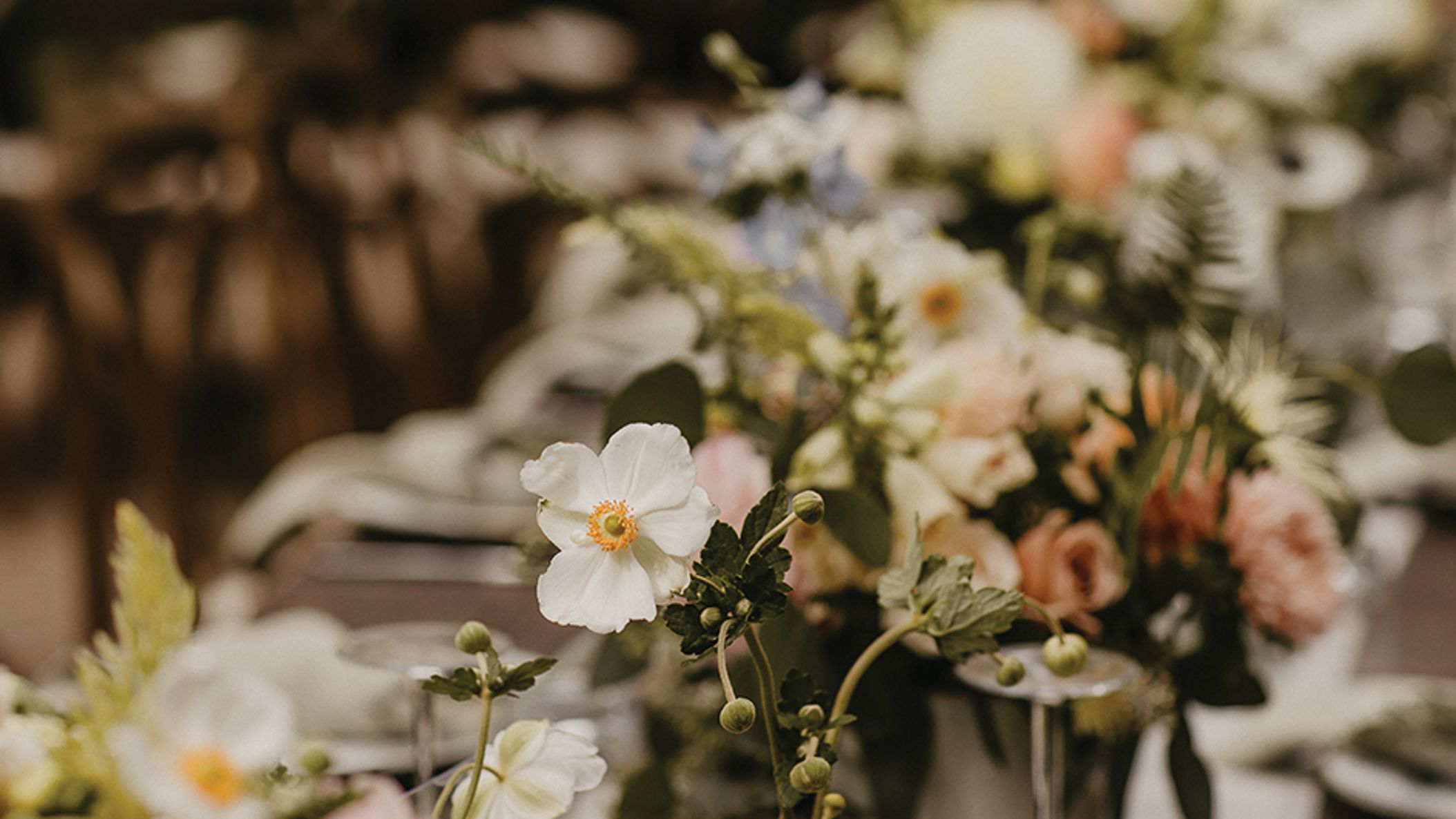 Oregon_Bride/2022/rw-julie-/rw_org_fw2223.jpg