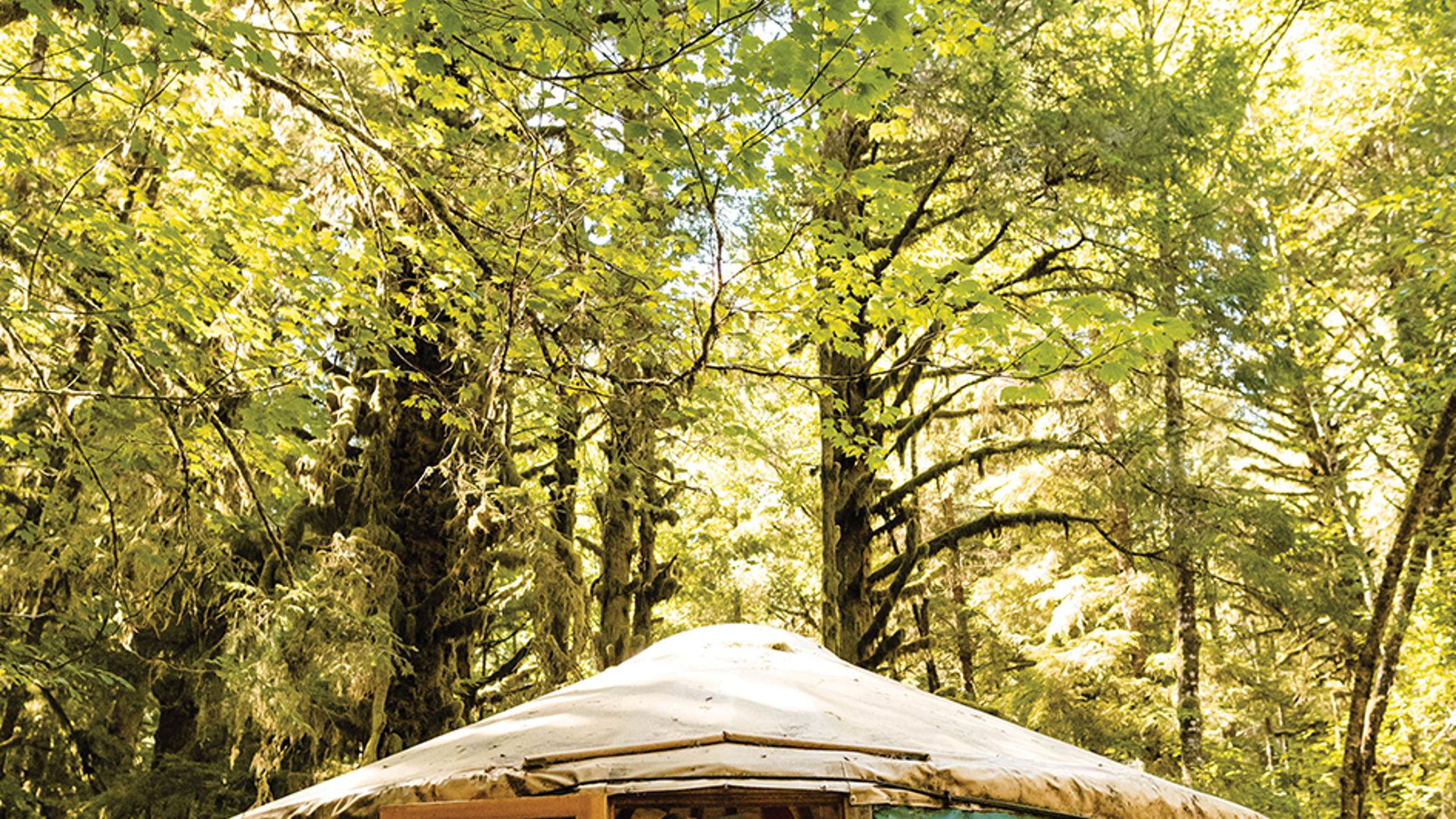 Oregon_Bride/2022/into-the-woods/af_org_fw2213.jpg