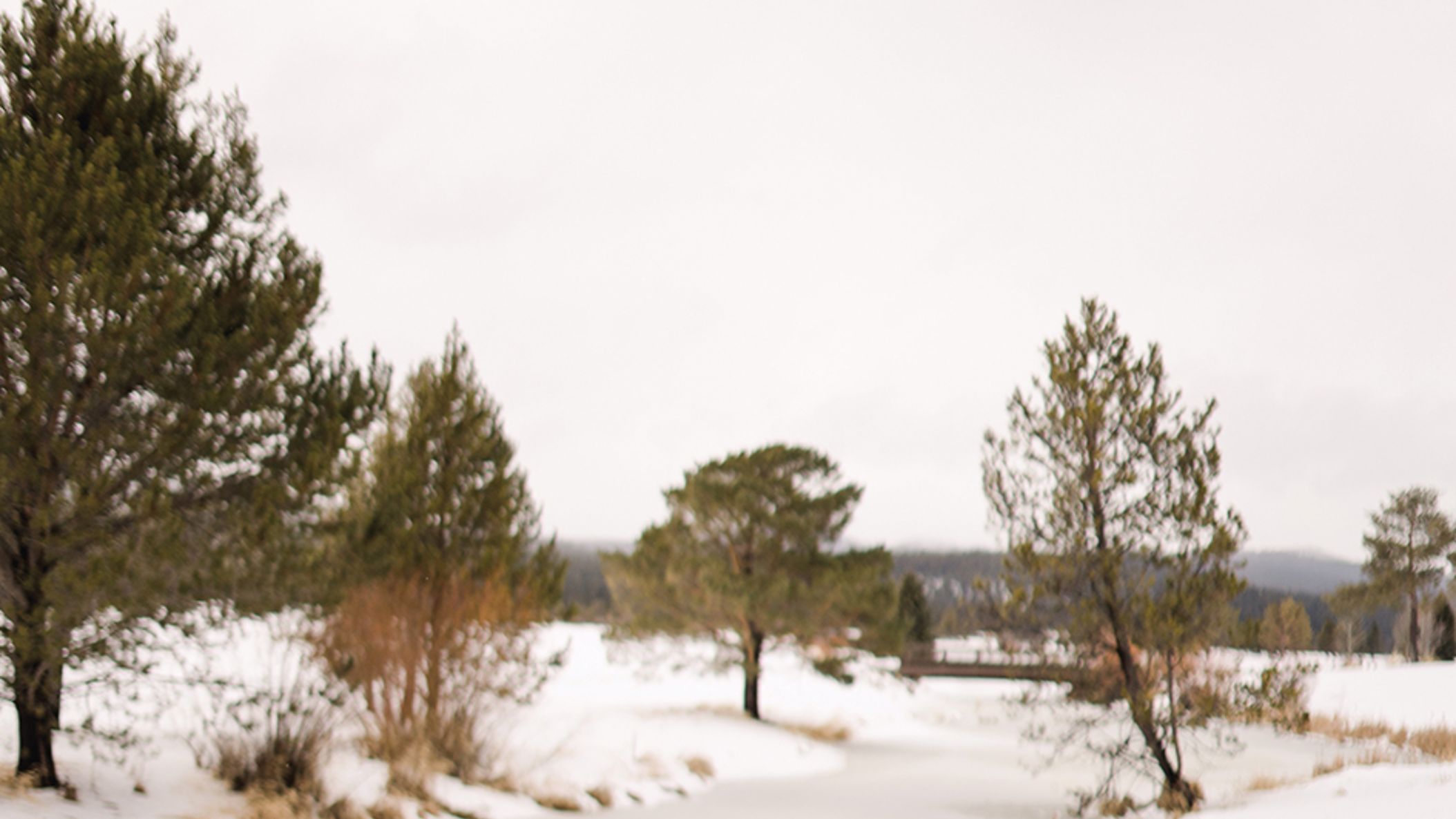Oregon_Bride/2022/unveiled/unv_org_fw2203.jpg