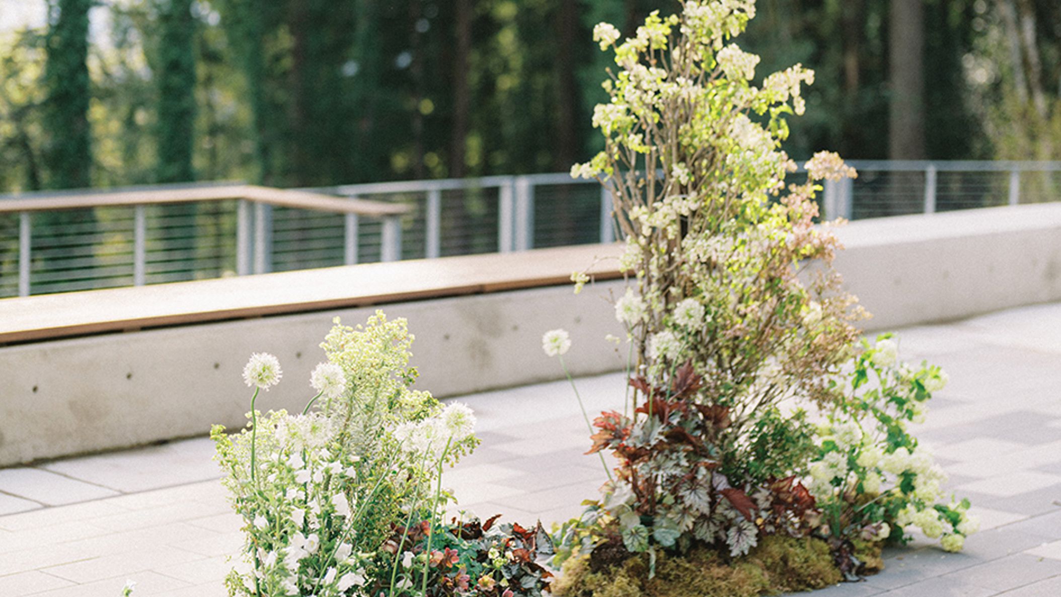 Oregon_Bride/2022/decor/decor_org_fw2216.jpg