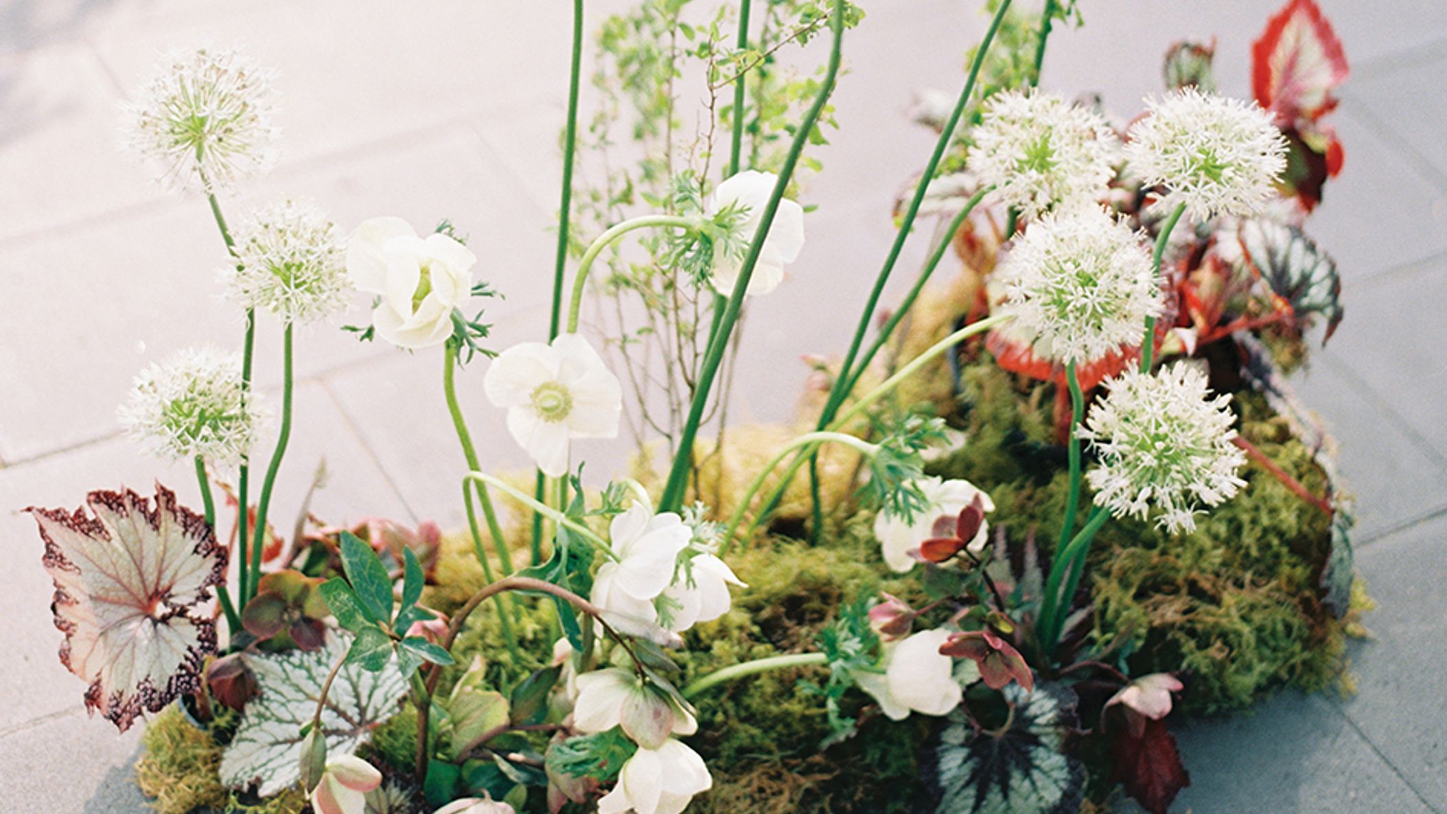 Oregon_Bride/2022/decor/decor_org_fw2217.jpg