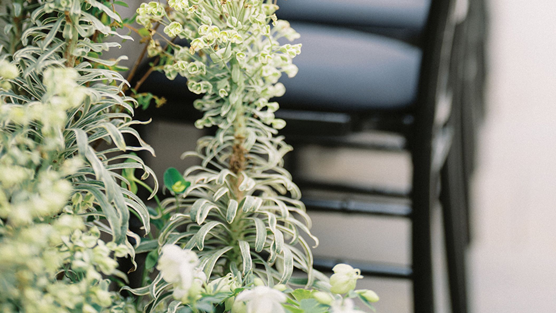 Oregon_Bride/2022/decor/decor_org_fw2224.jpg