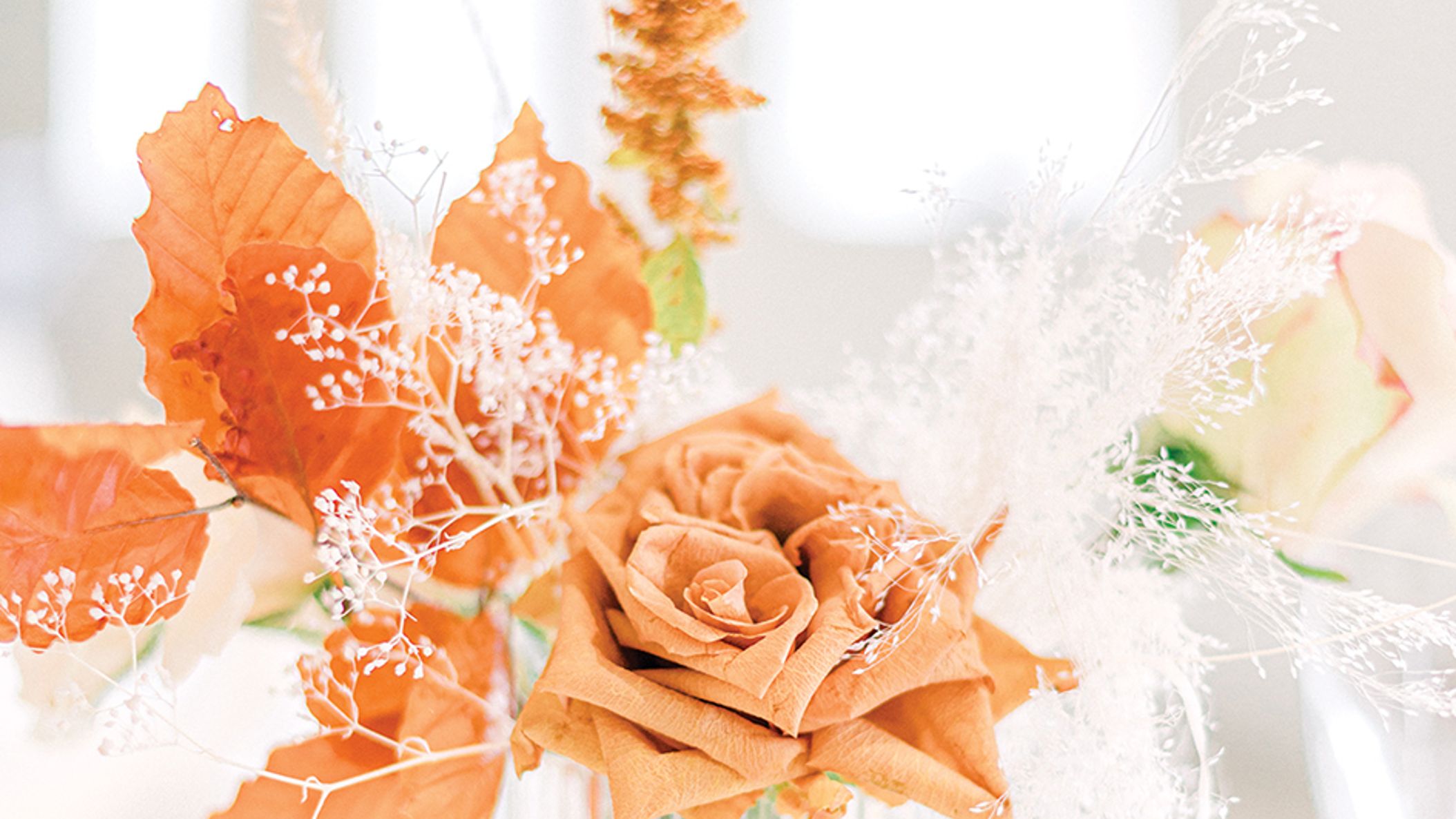 Nebraska_Bride/2022/aislefiles/3aislefie_nwd_fw2203.jpg