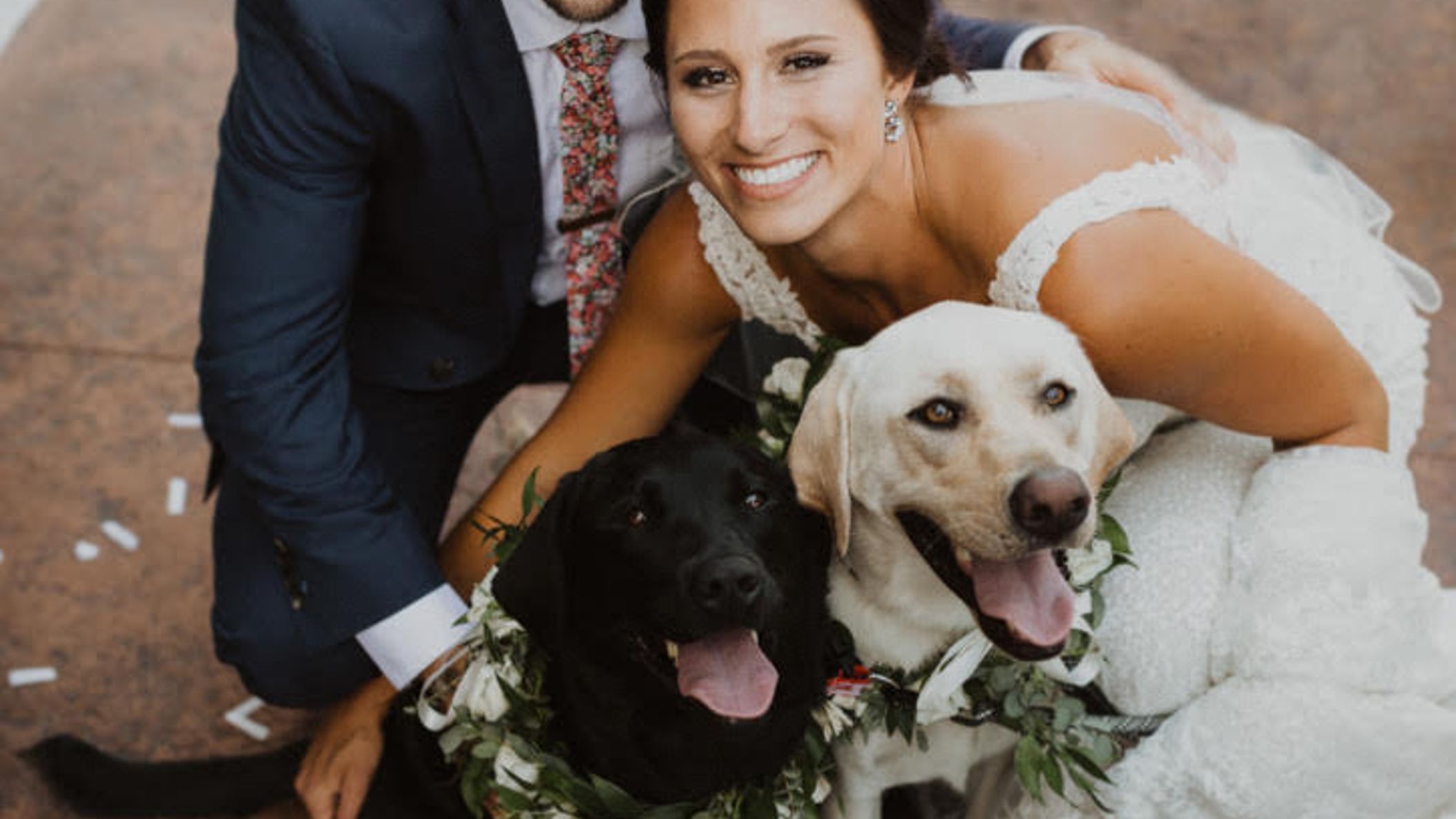 Wisconsin_Bride/2022/proposal/Quinn_Dogs.jpg