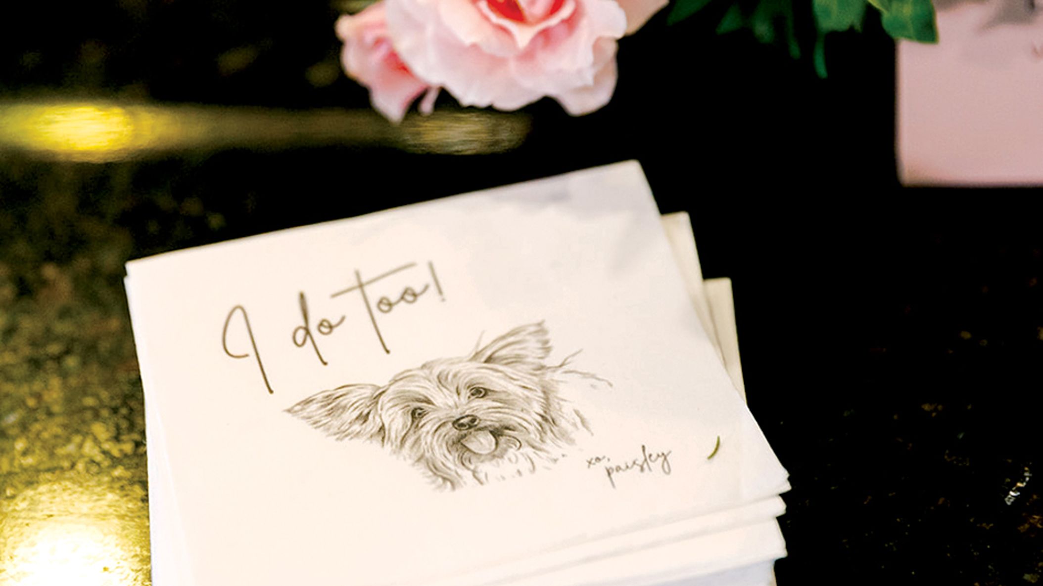 4/christy tyler photography.jpg
