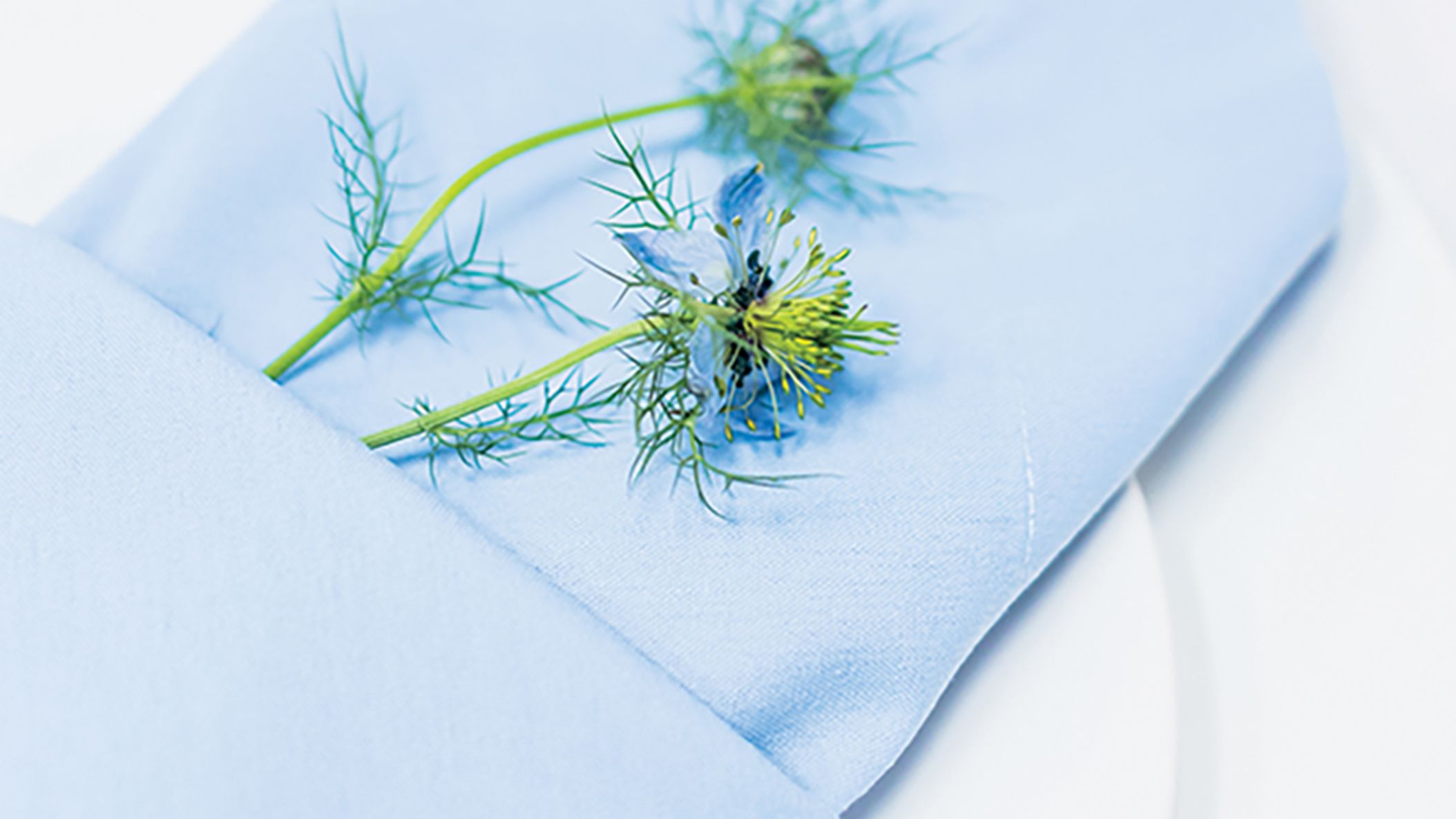 CWD/2023/floral/florals_CWD_SS2303.jpg
