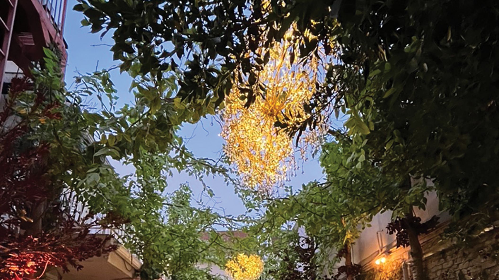 CWD/2023/venues/venue_CWD_SS2301.jpg