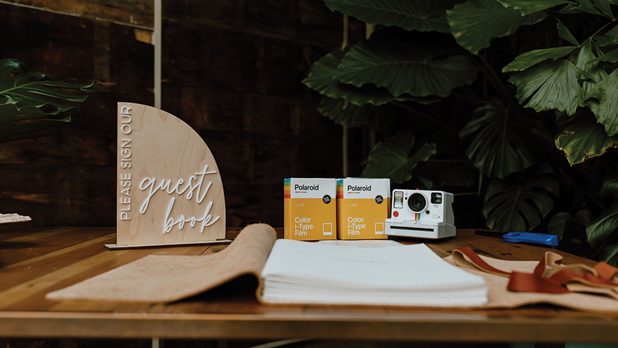 CWD/2023/rw-hans/hans_CWD_SS2301.jpg