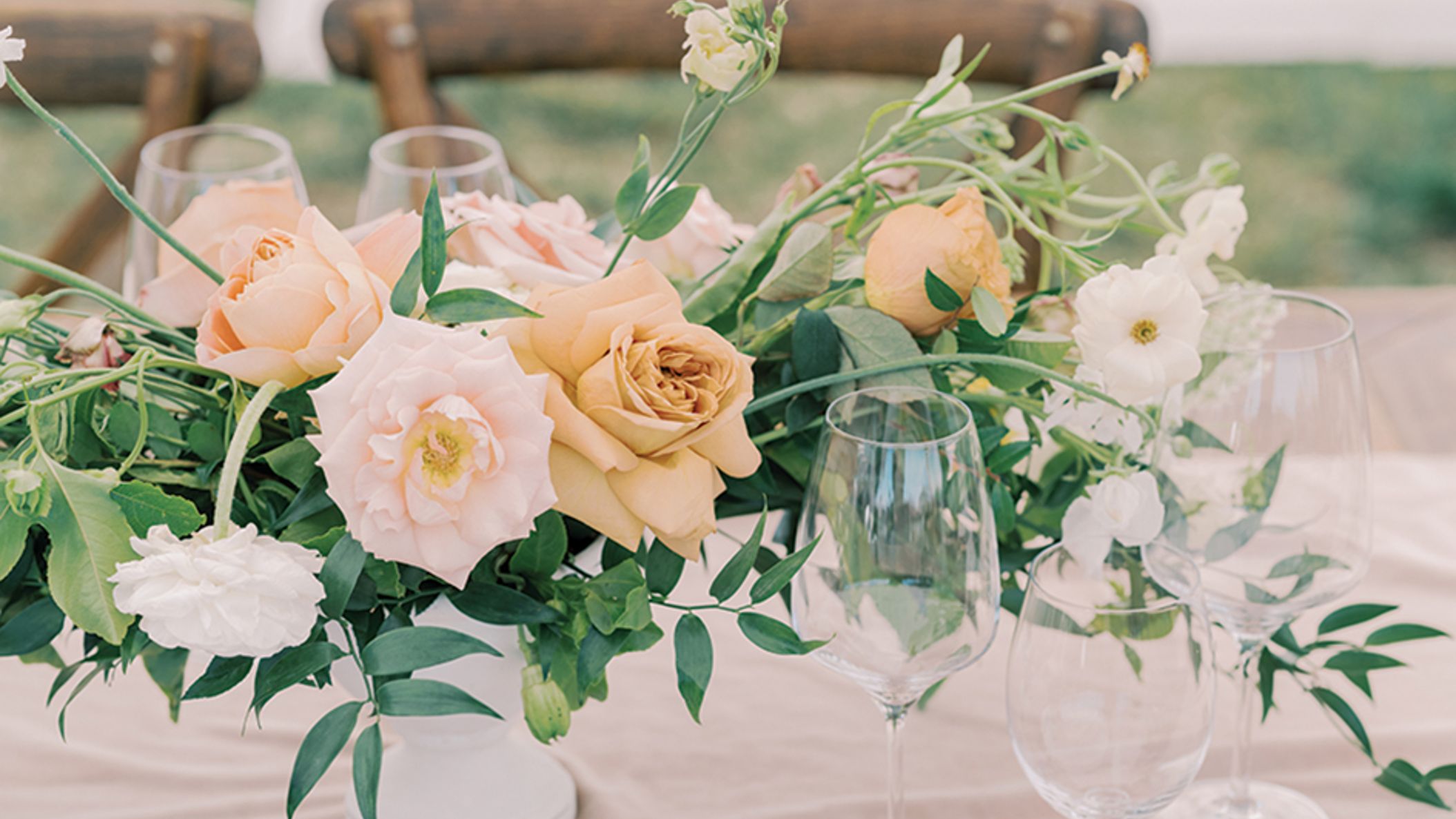 CWD/2023/rw-annie/annie_CWD_SS2306.jpg