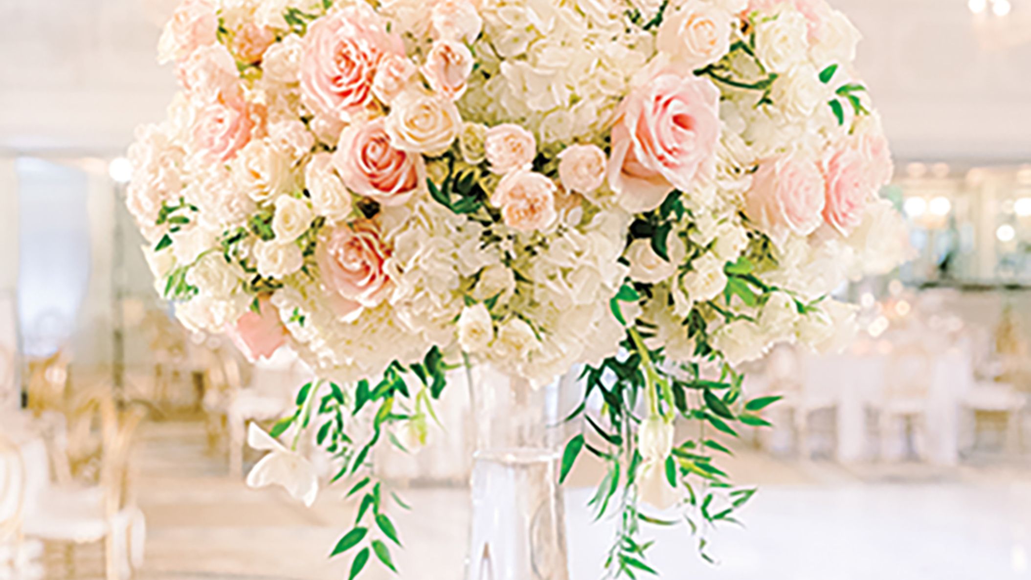 CWD/2023/rw-jackie/jackie_CWD_SS2305.jpg