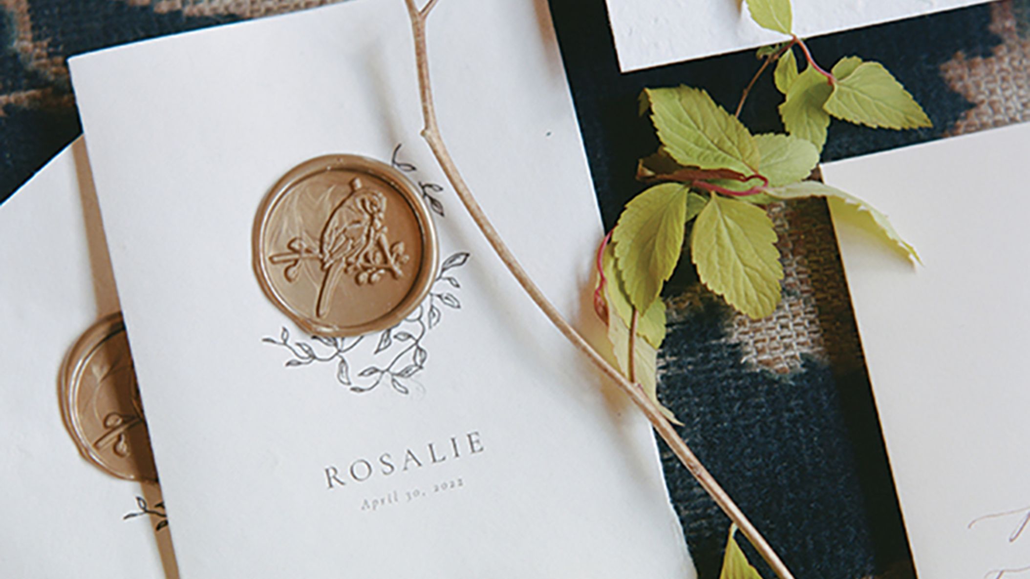 Seattle_Bride/2023/unveiled/unveiled2-seb-2304.jpg