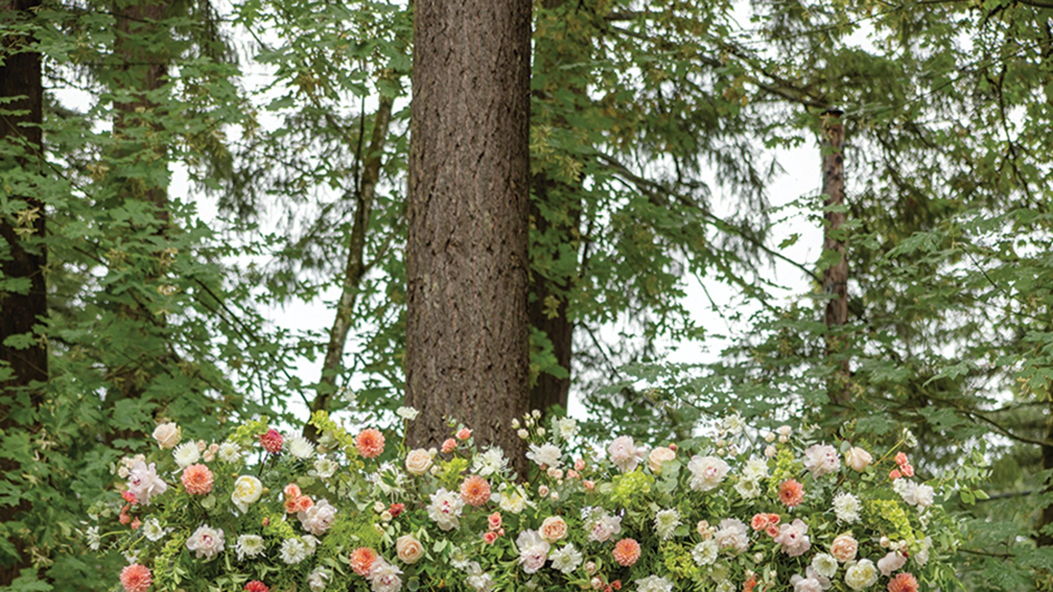 Checklists/rw-reed/realwedding5_ORB_SS2304.jpg