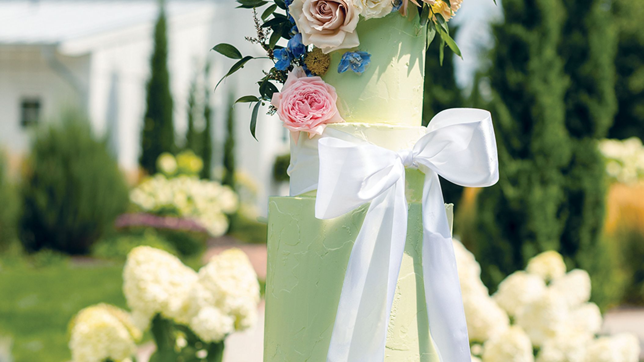 Minnesota_Bride/2023/cakes/cakes_MNB_SS2304 copy.jpg