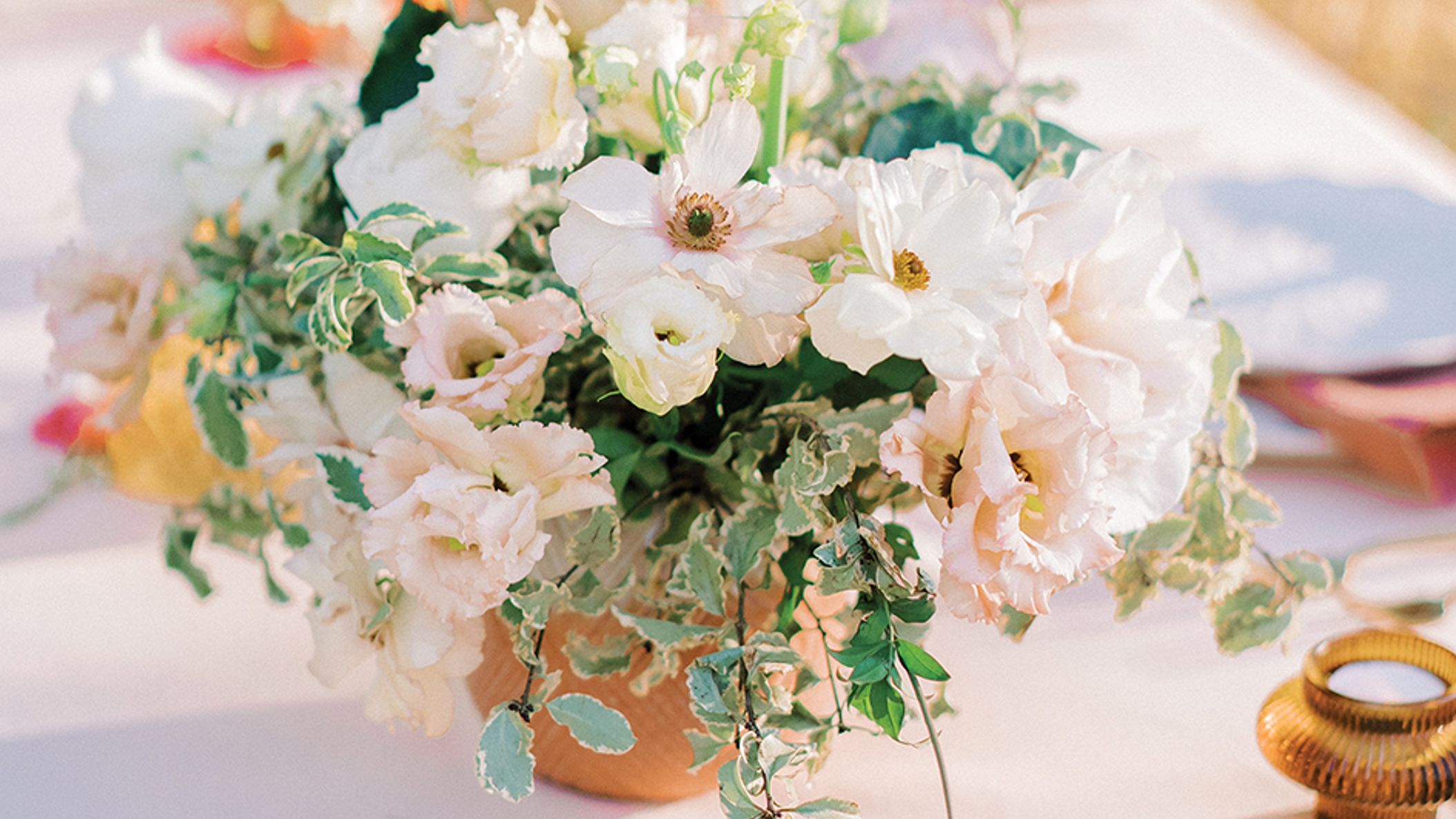 CWD/azb/apricot_AZB_SS2306.jpg