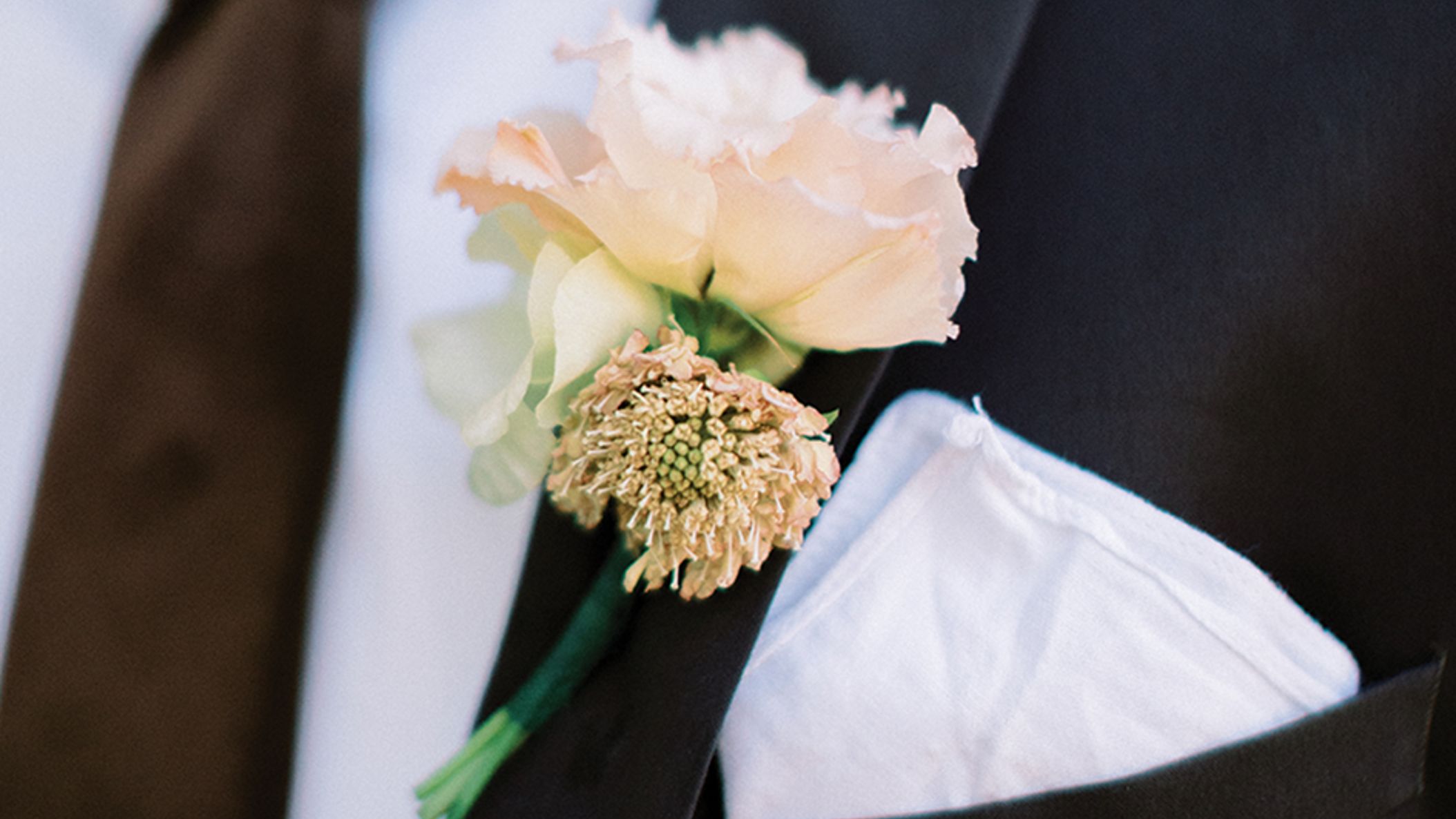 CWD/azb/apricot_AZB_SS2308.jpg