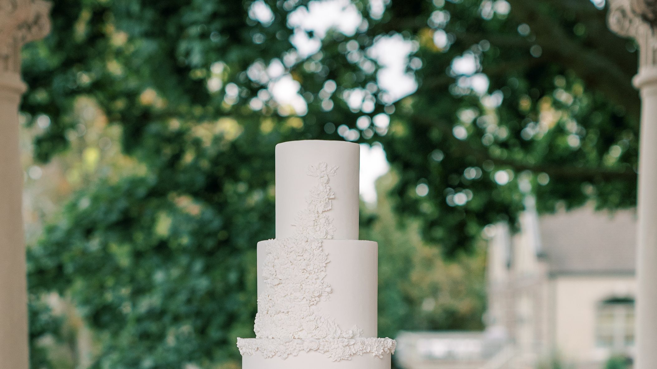 inline-images/cake.jpg