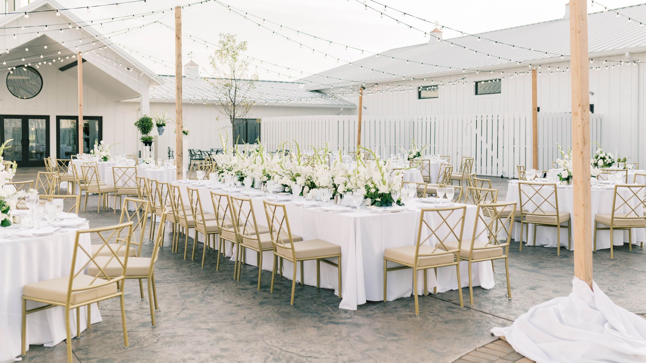 2023-10/Trish Allison Photography.jpg