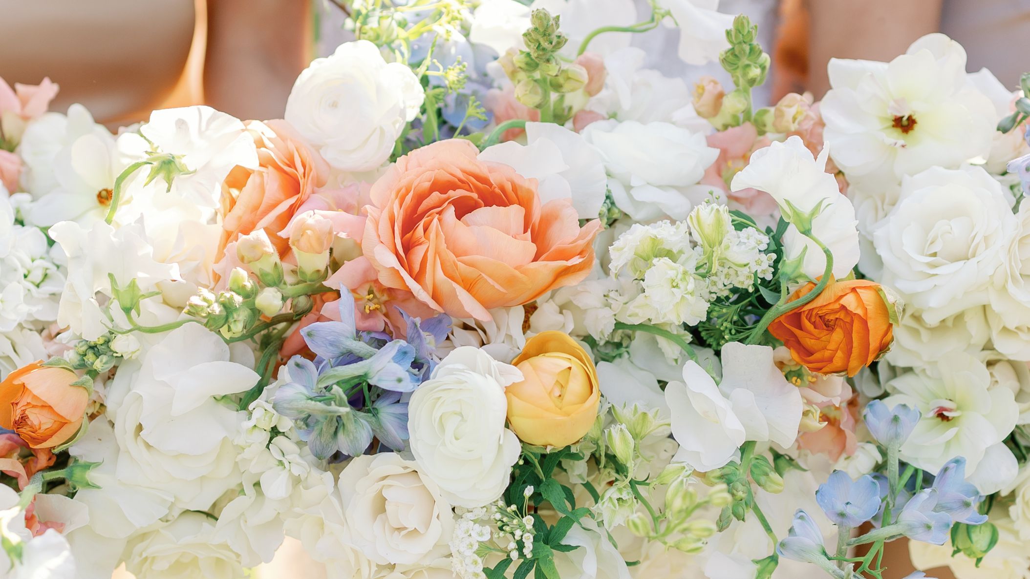 2024-12/wedding-colette-dakoda-222.jpg