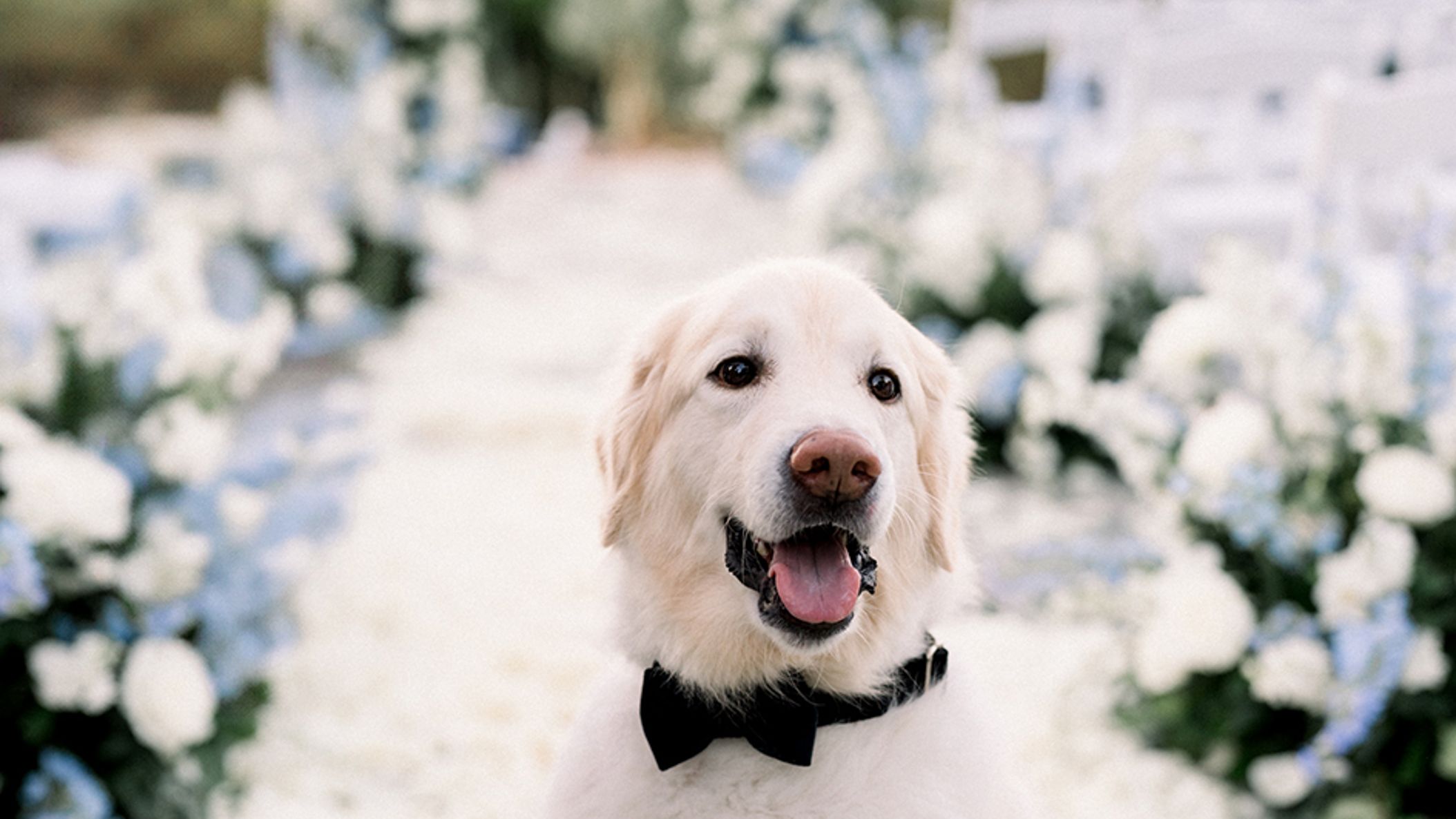 inline-images/Photograph by Brittney Nemic.jpg