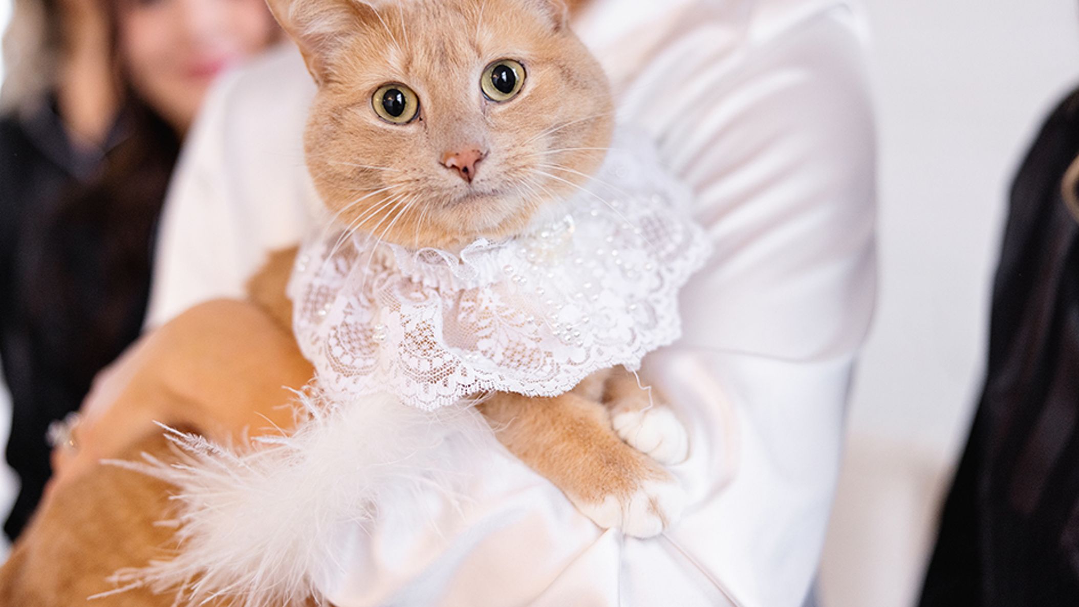 inline-images/DonovanWedding_GettingReady_0031.jpg