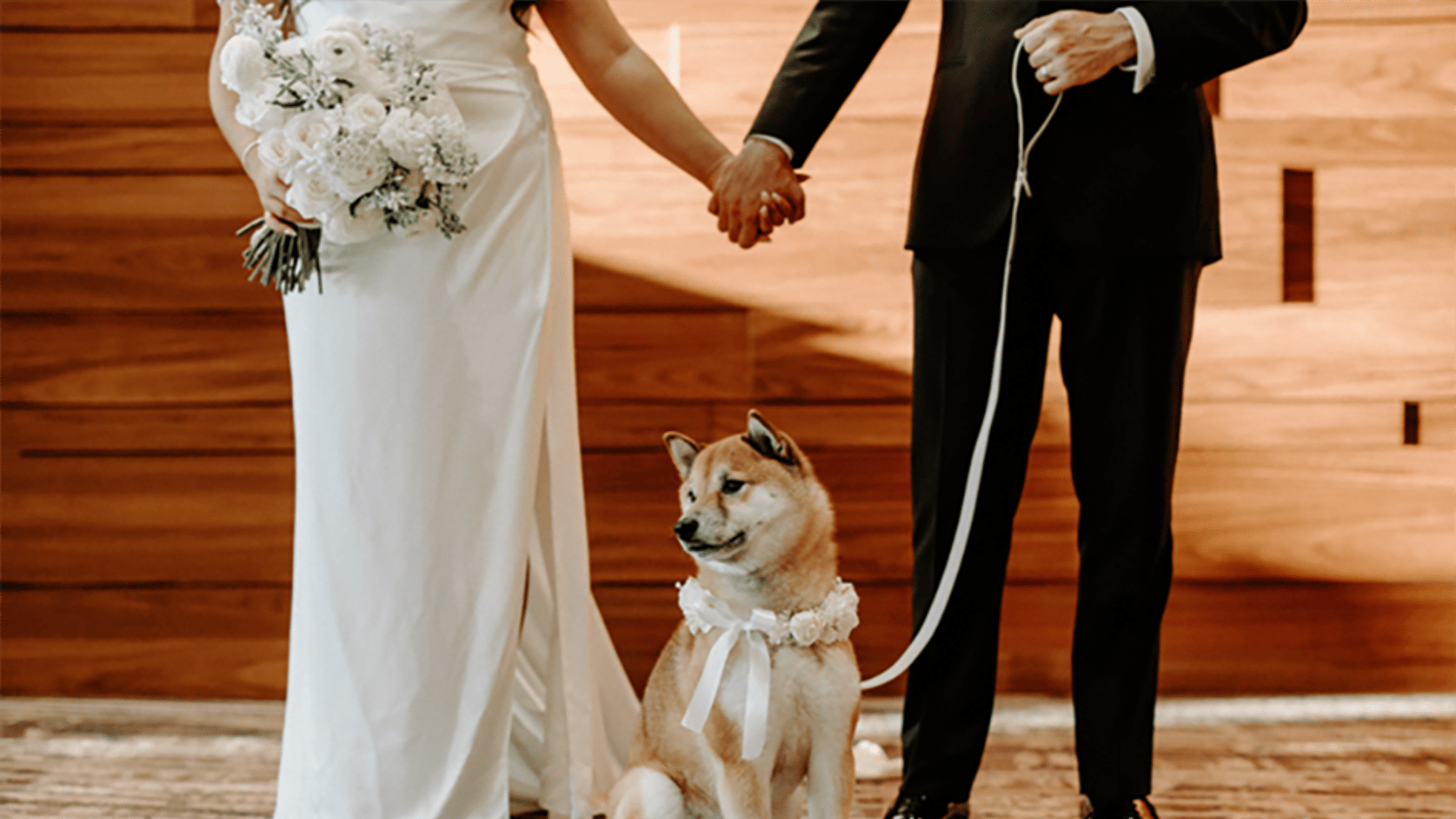 inline-images/LenaandNilsWedding_Pet1.png