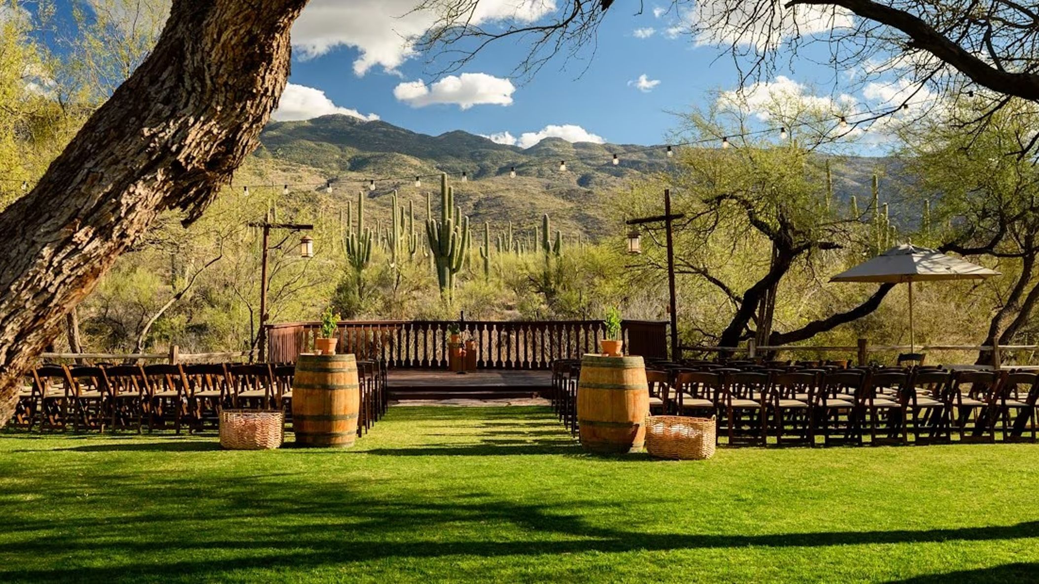 inline-images/cactus-view-wedding-10.jpg.jpeg