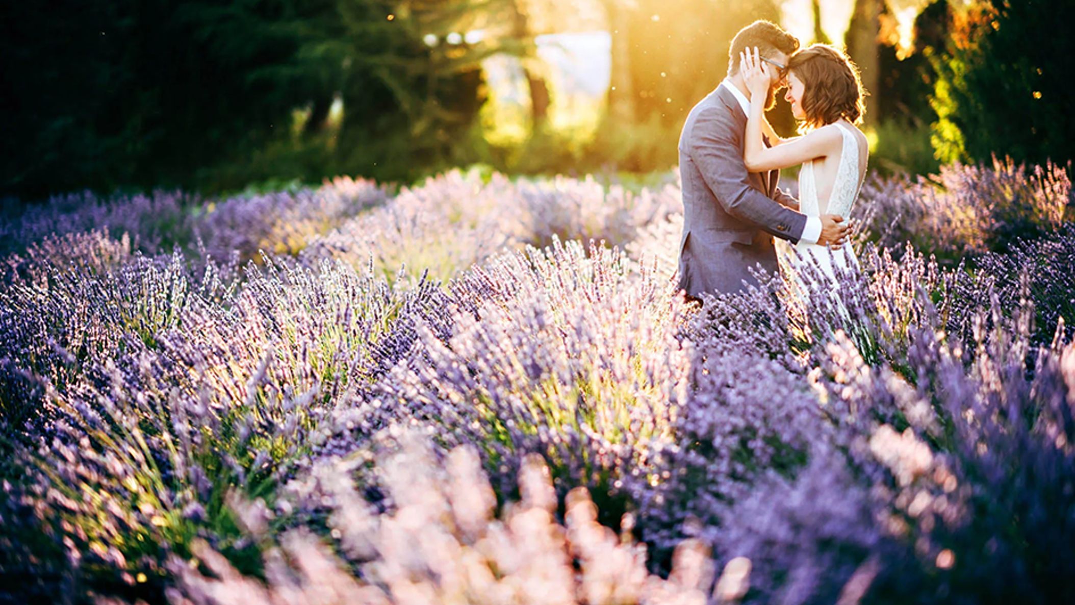 inline-images/Woodinville-Lavender-Farm-wedding-venue-Seattle-Wedding-Photographer-JENN-TAI-jpg copy.png