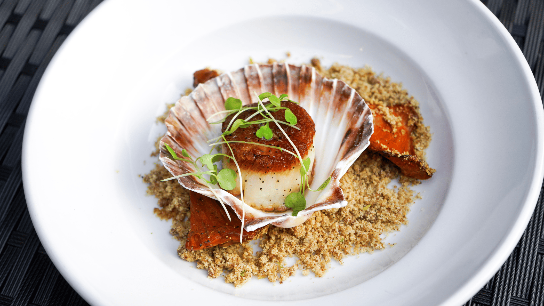 2026-08/Scallop in Shell_0.png
