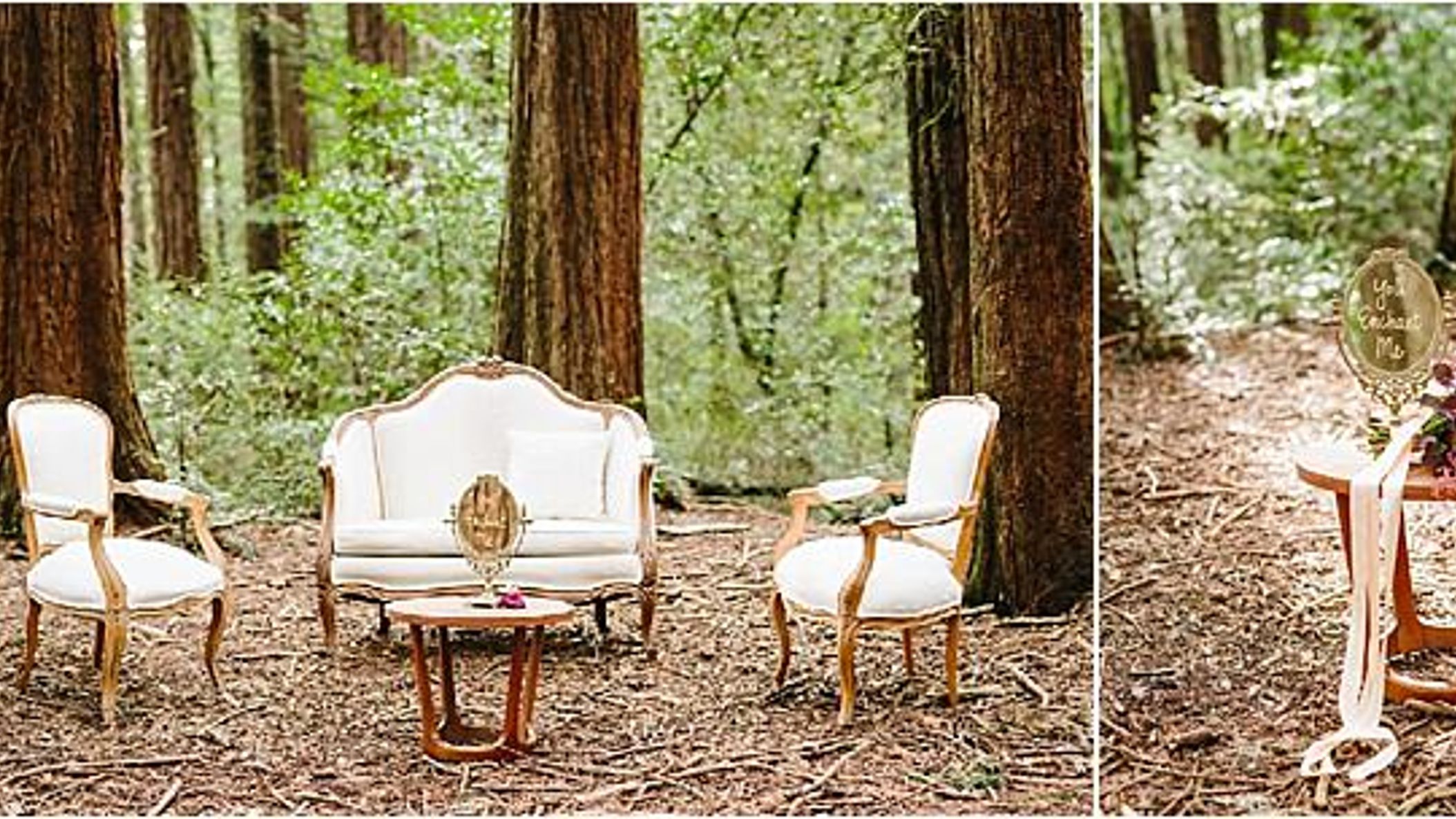CWD/redwoods/2017-12-14_0060.jpg