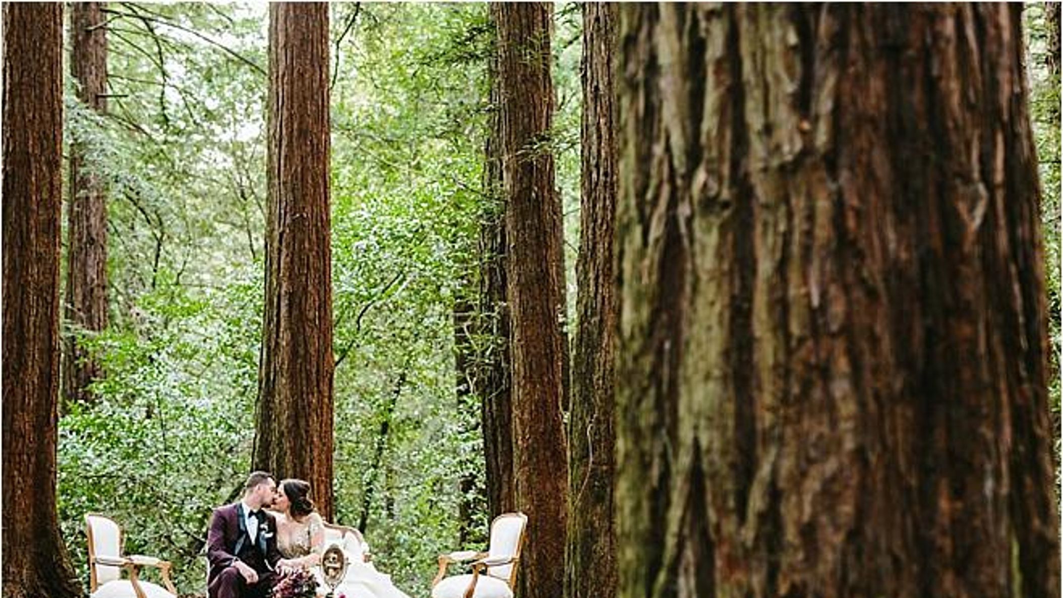 CWD/redwoods/2017-12-14_0077.jpg