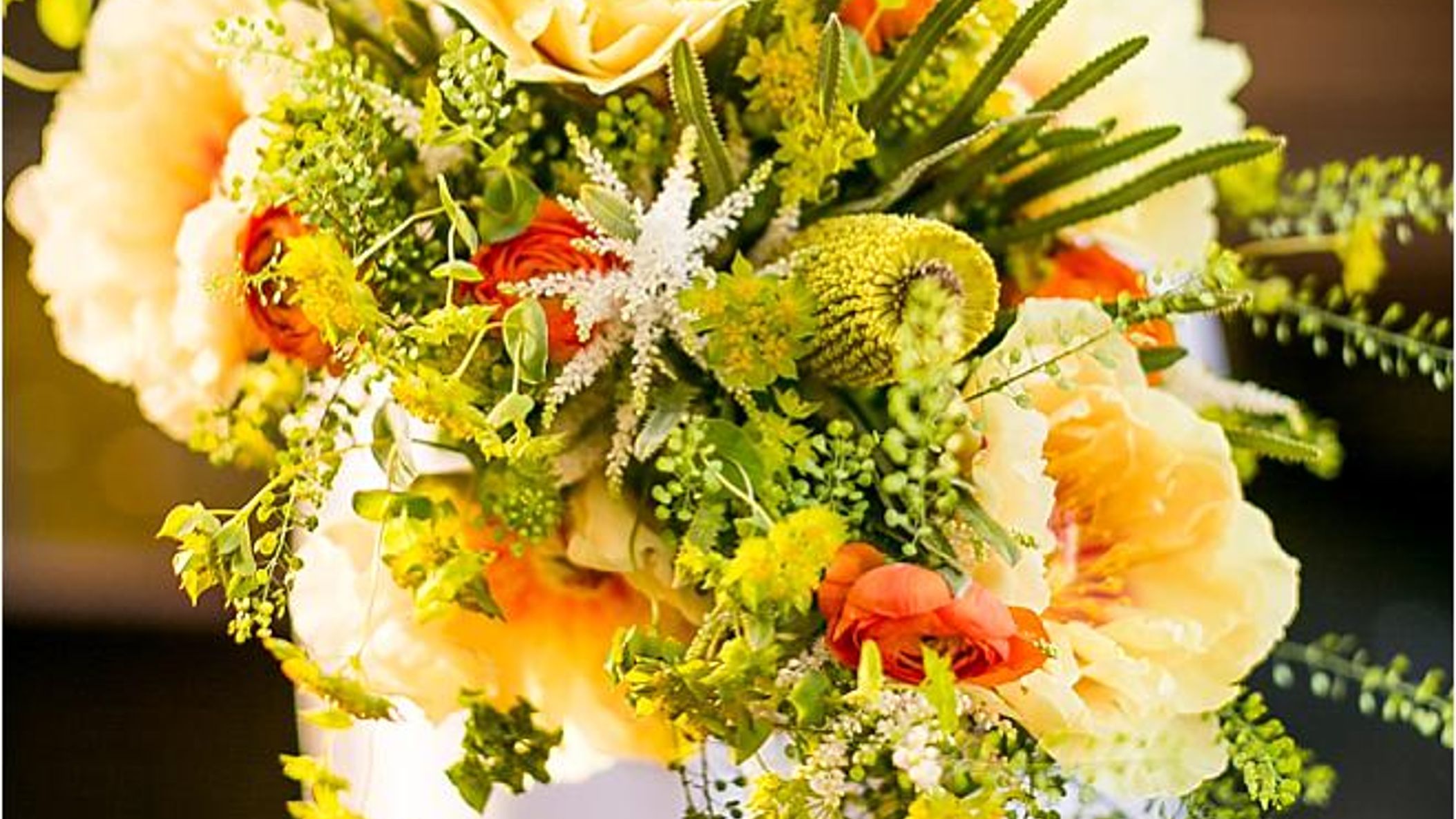 CWD/citrus/2017-12-14_0155.jpg