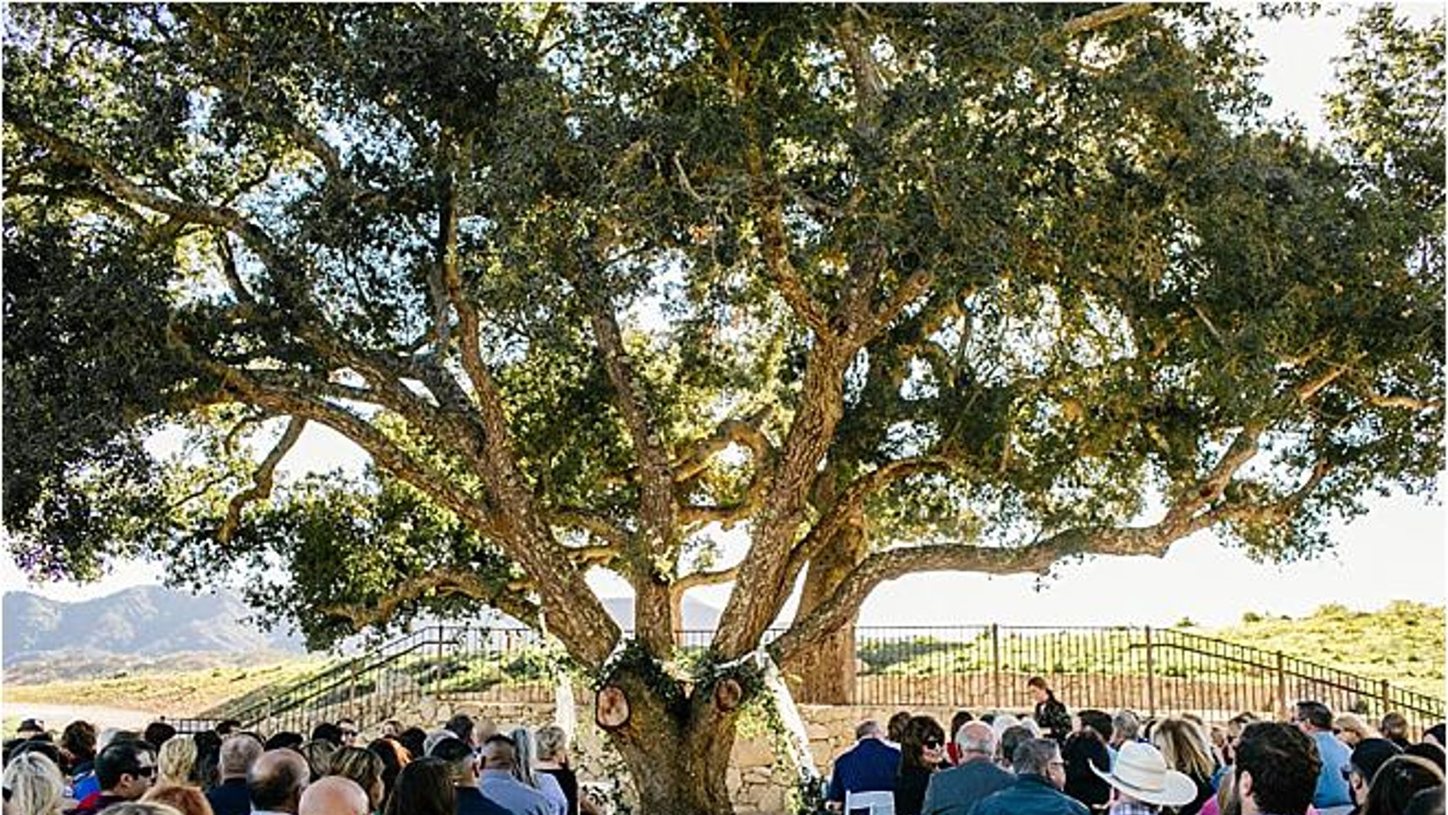 CWD/online/venues/new/oysterridge/2017-12-23_0057.jpg