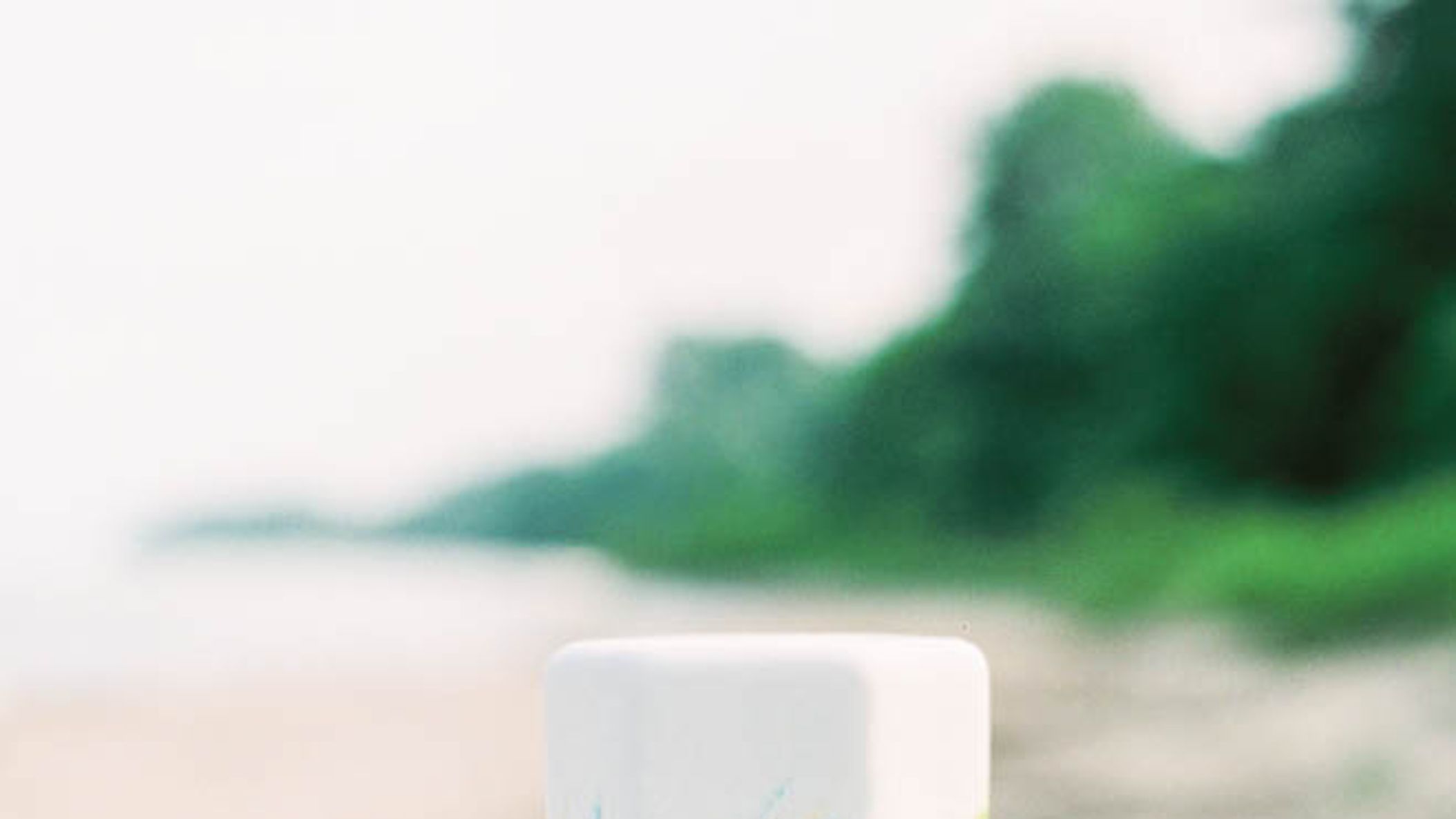 Wisconsin_Bride/SS18_Uploading/Day_at_the_Beach/0134.jpg