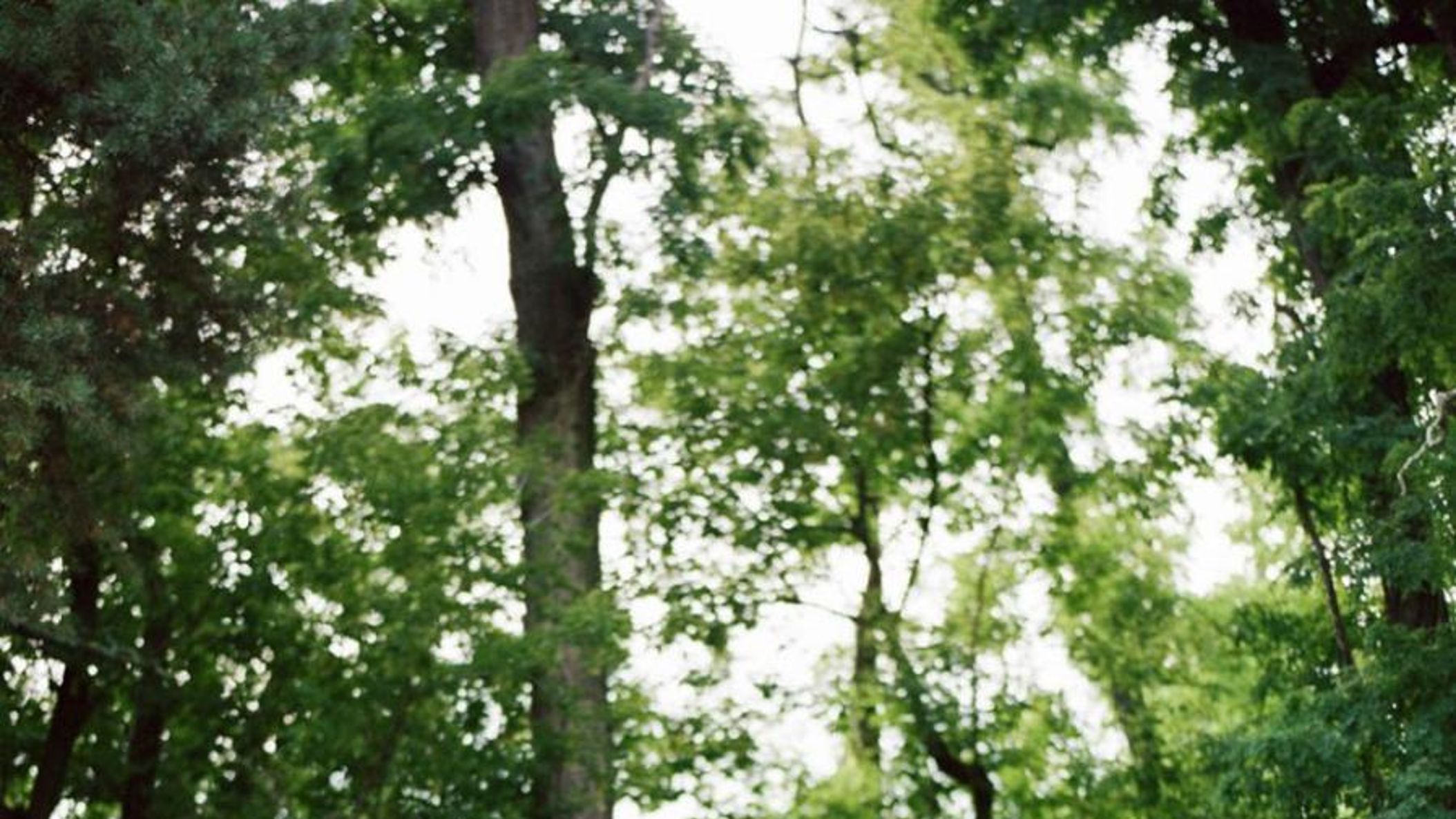 Wisconsin_Bride/KatieLukeRW/kateweinsteinphoto_katieluke_wedding-143_WEB.jpg