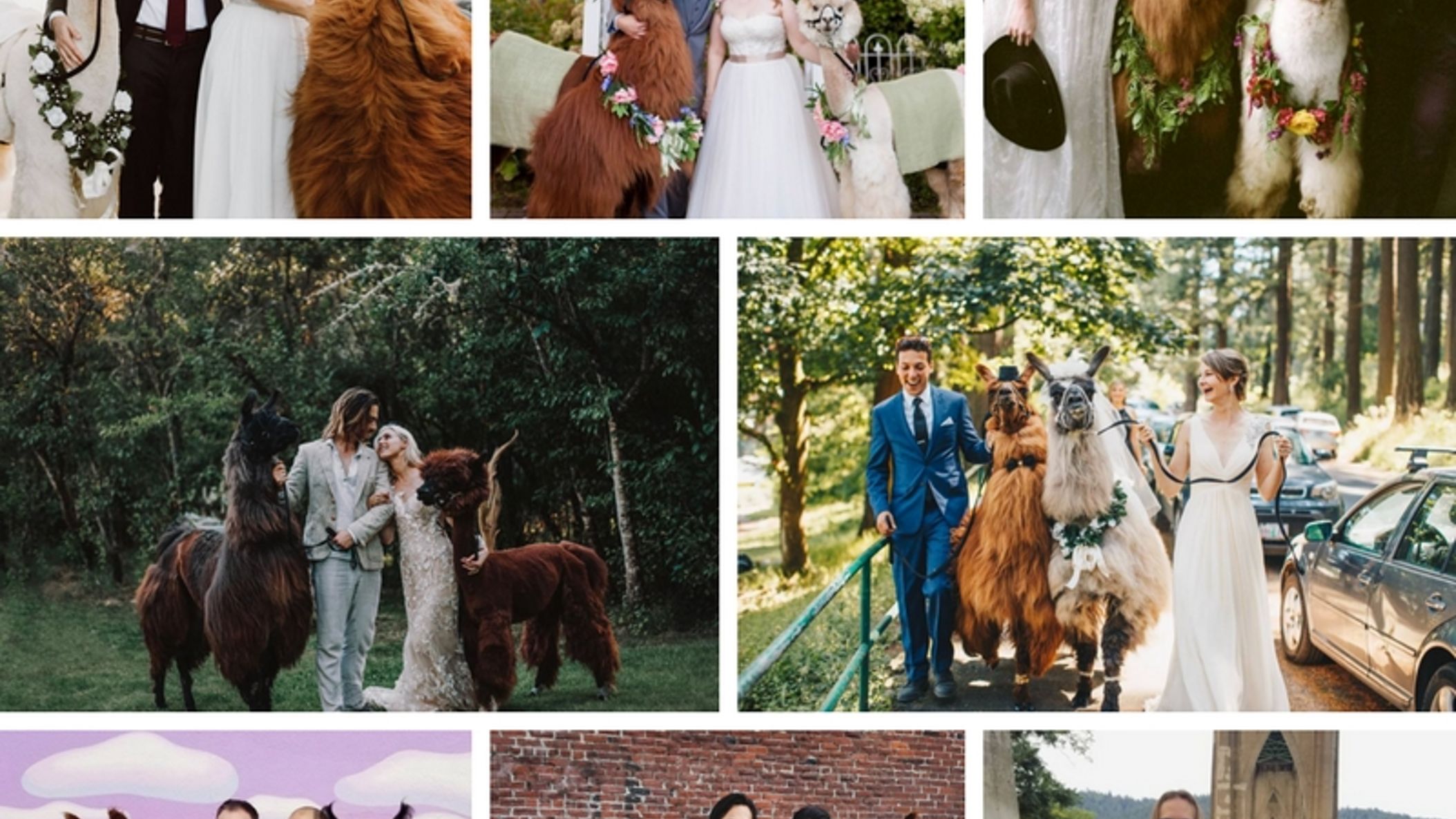 Oregon_Bride/WebStories/Other/OR 3.29.18.jpg