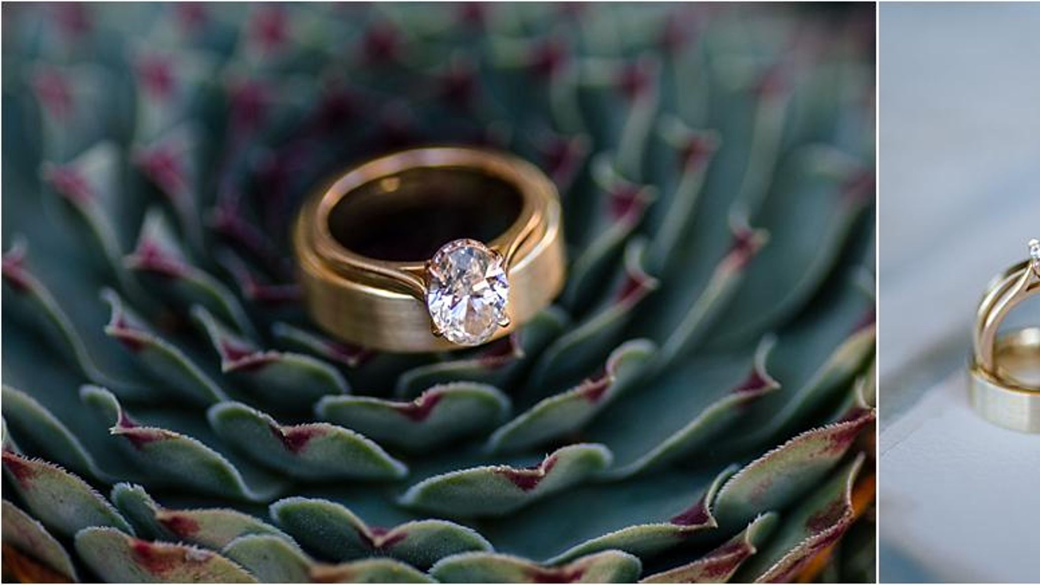 CWD/online/styledshoots/presquile/2018-05-06_0042.jpg