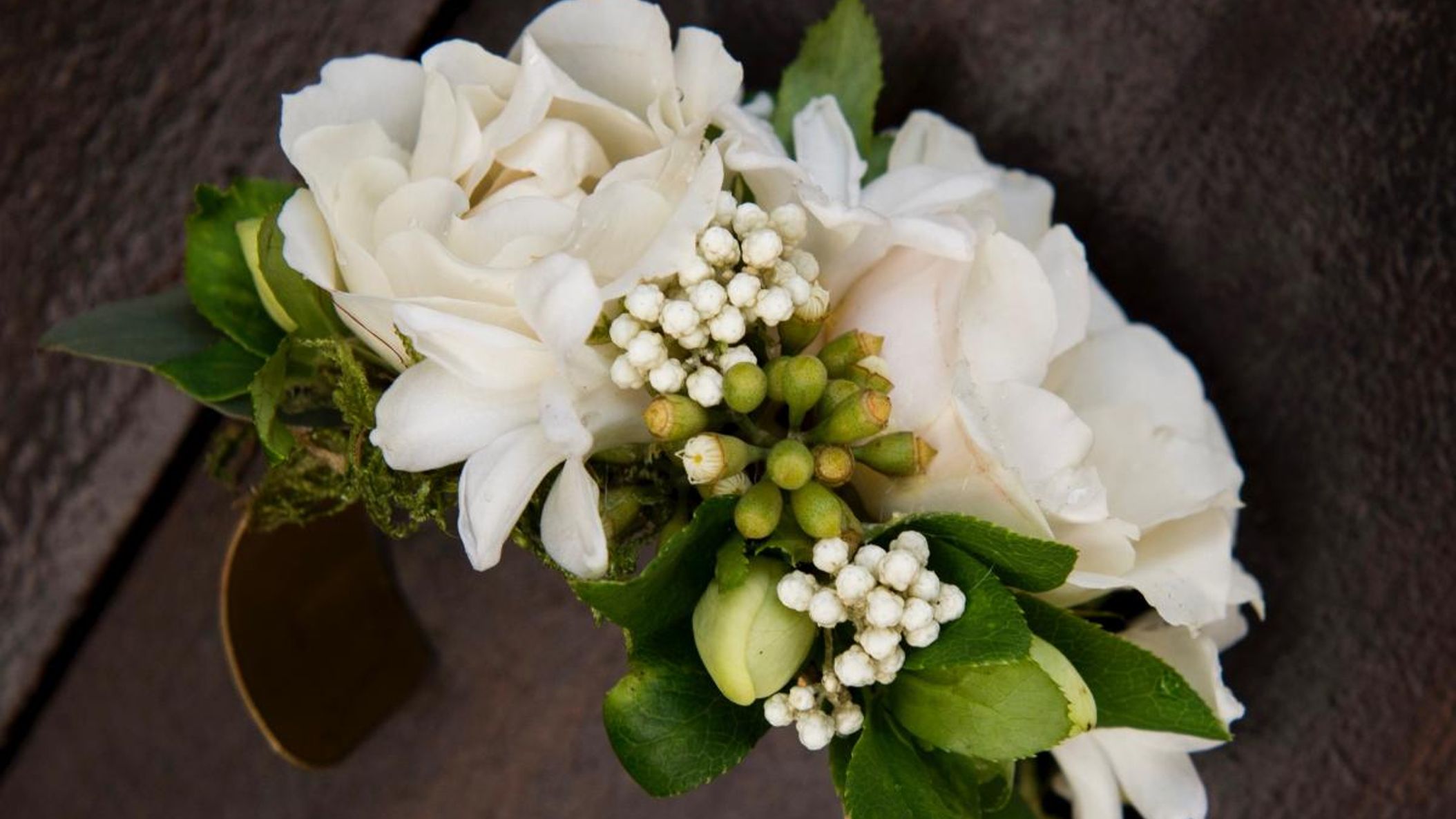 Seattle_Bride/Sponsored/DanielShapiro-6123.jpg