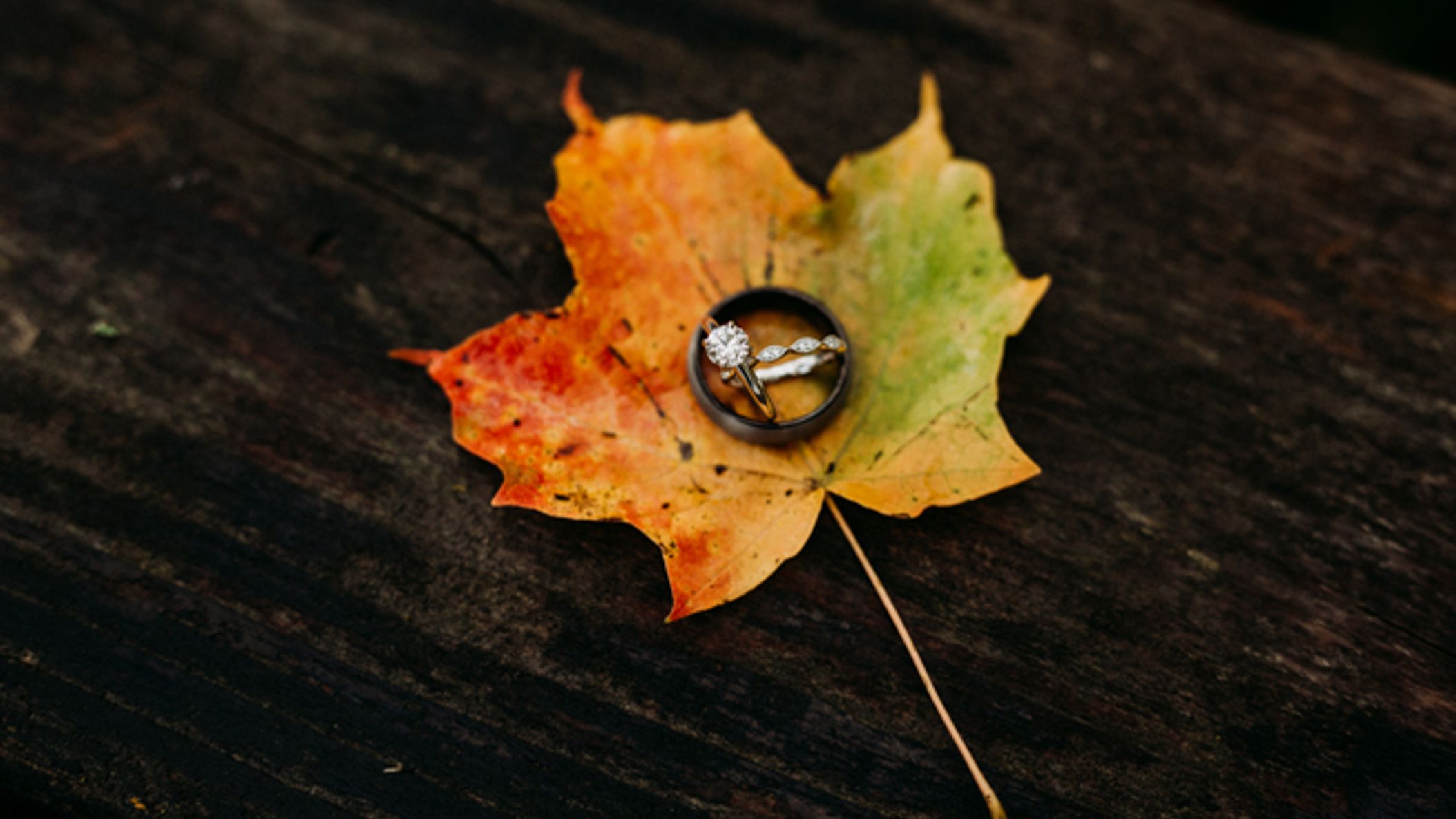 Wisconsin_Bride/FW2018Uploading/RWKatieRyan/west-bend-wedding-NarrowLeaf_Photography-63.jpg