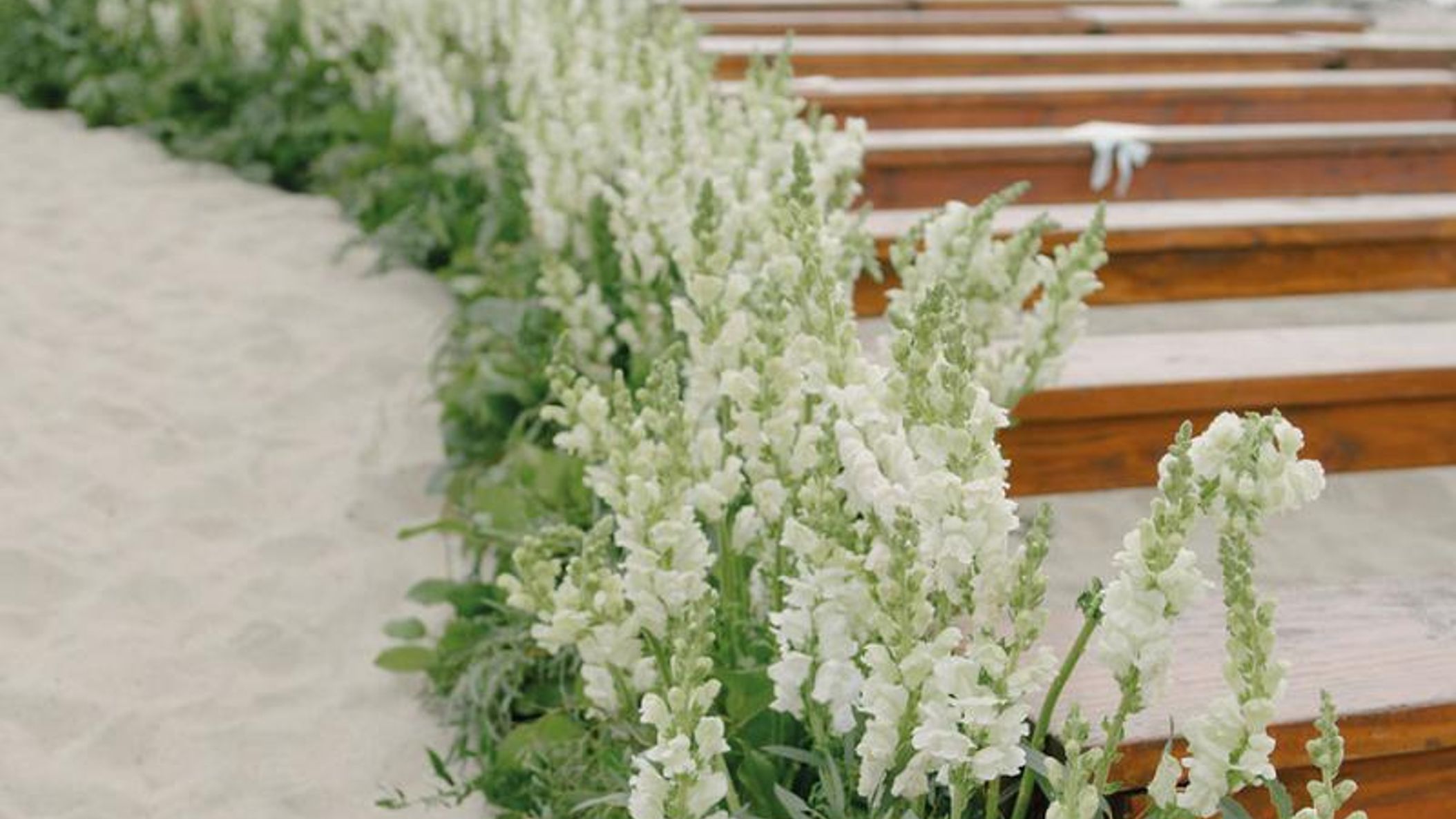 CWD/online/realweddings/nicole_matt/nikki-and-matt-pg142bjpg.jpg