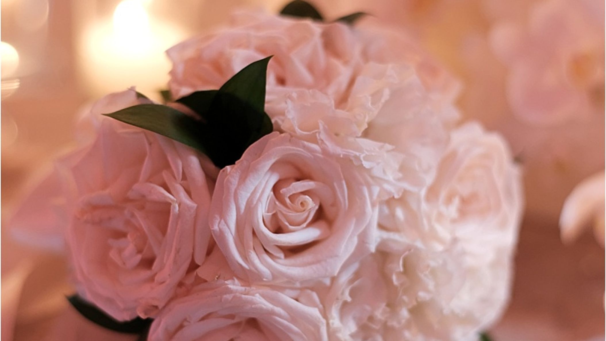 CWD/Sum18PrintWeddings/2018-08-08_0009.jpg