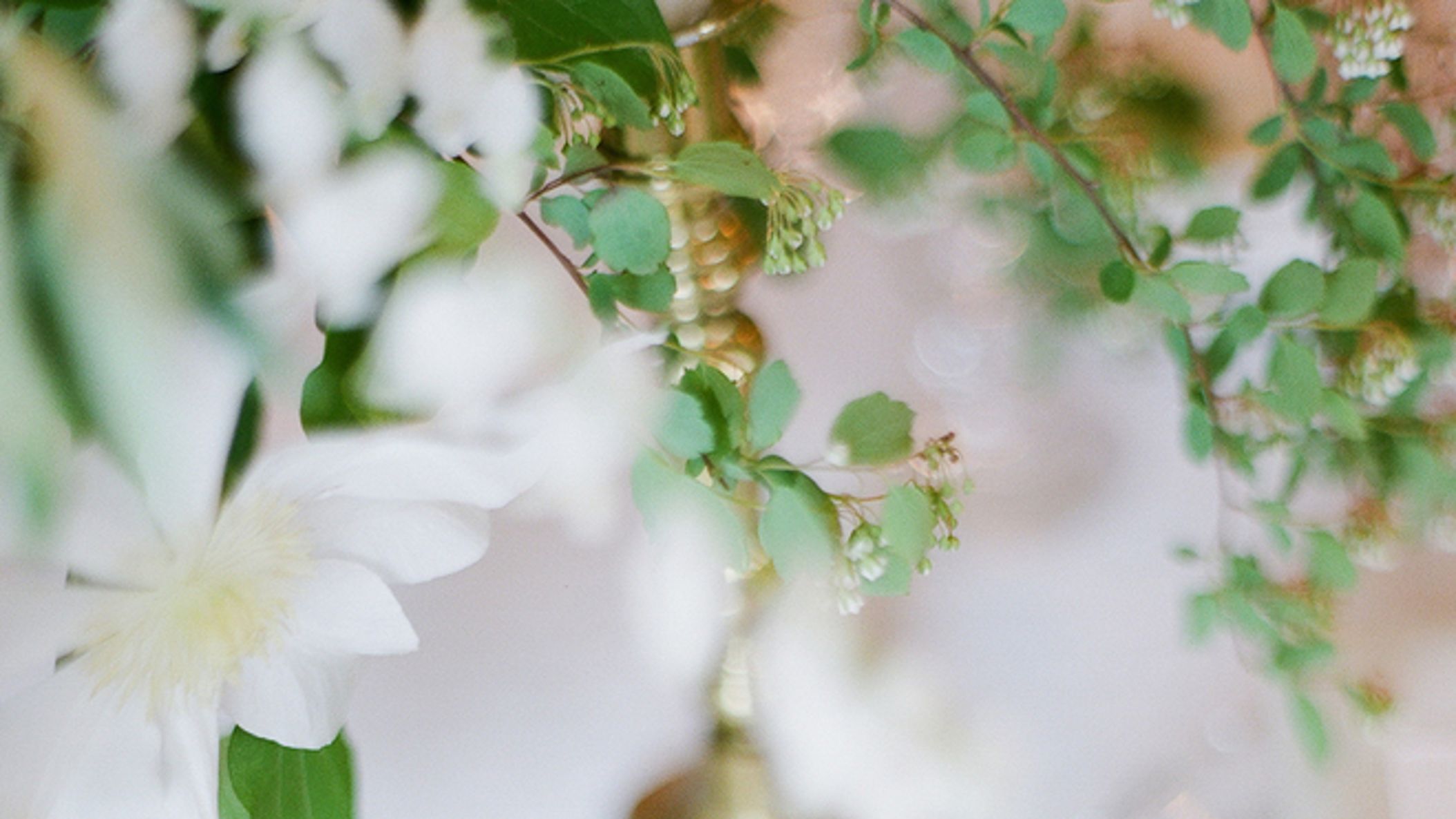 Minnesota_Bride/Greysolon_Concept/Anna_Grinets_Photography_Printemps_A_Paris_011_659x.jpg