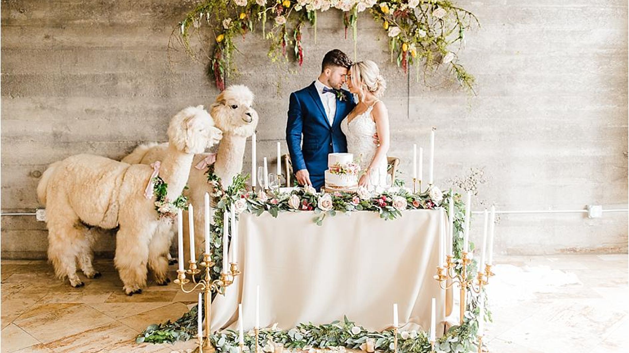 Oregon_Bride/StyledShoots/alpacas/2018-09-16_0105.jpg