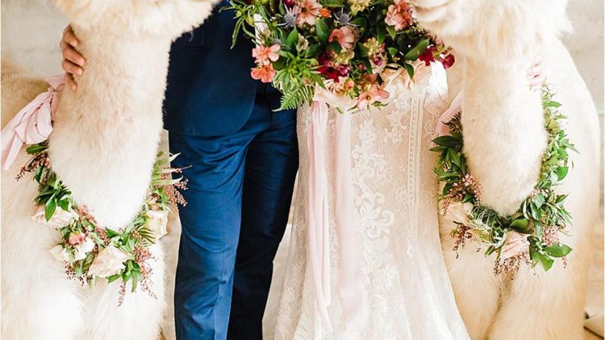 Oregon_Bride/StyledShoots/alpacas/2018-09-16_0113.jpg